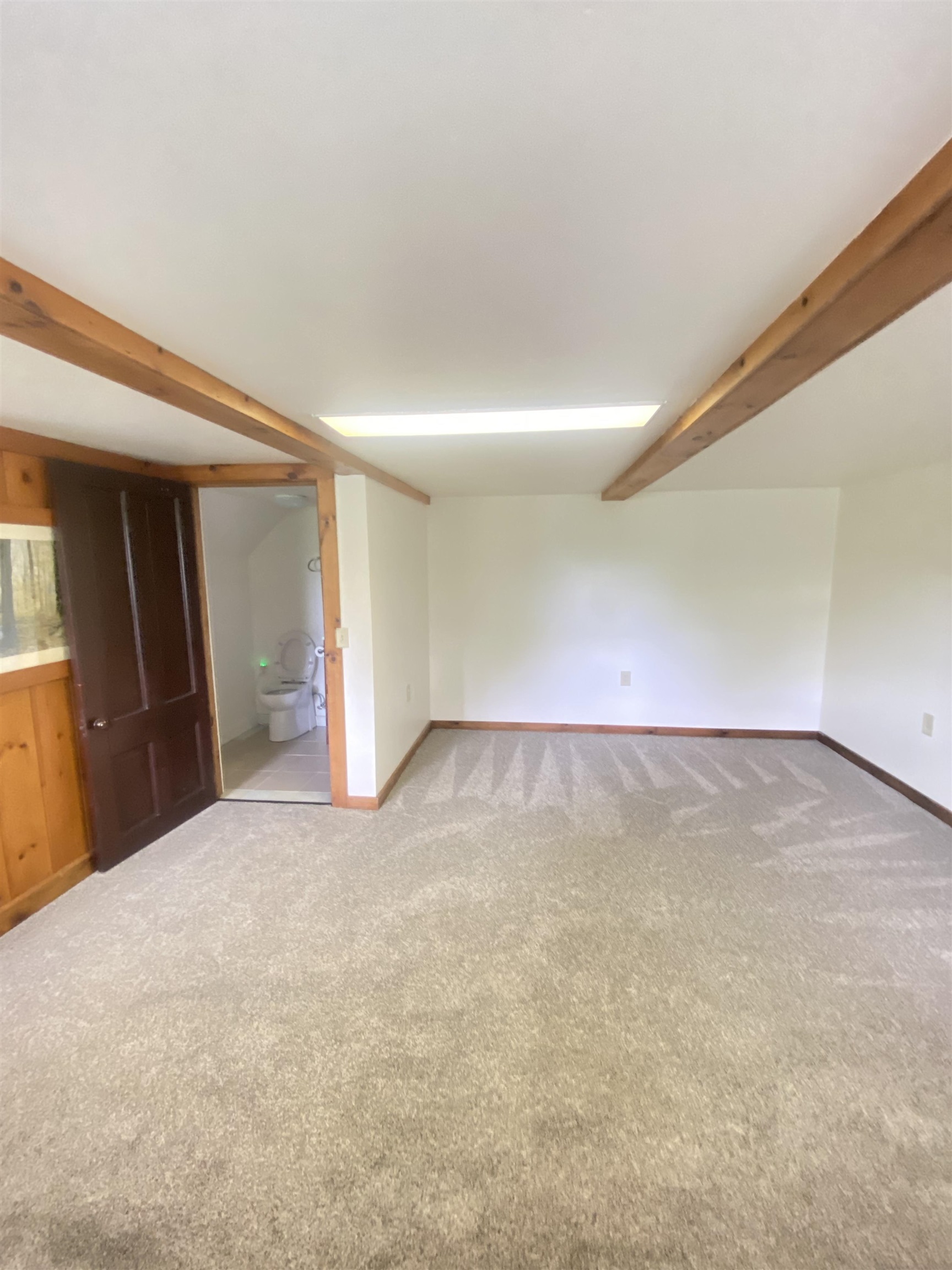 basement walkout