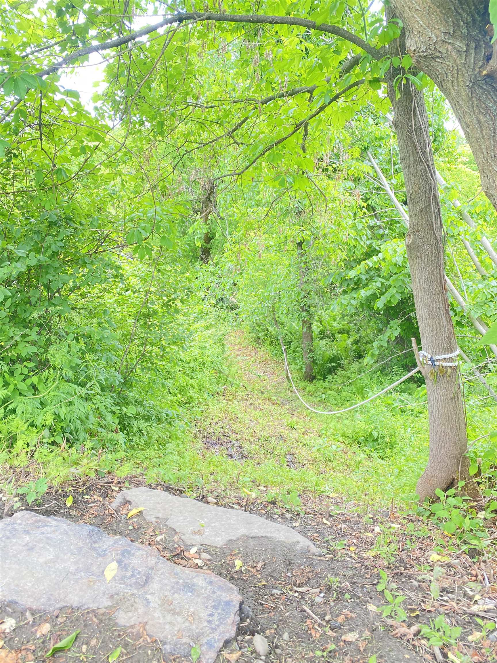 River access