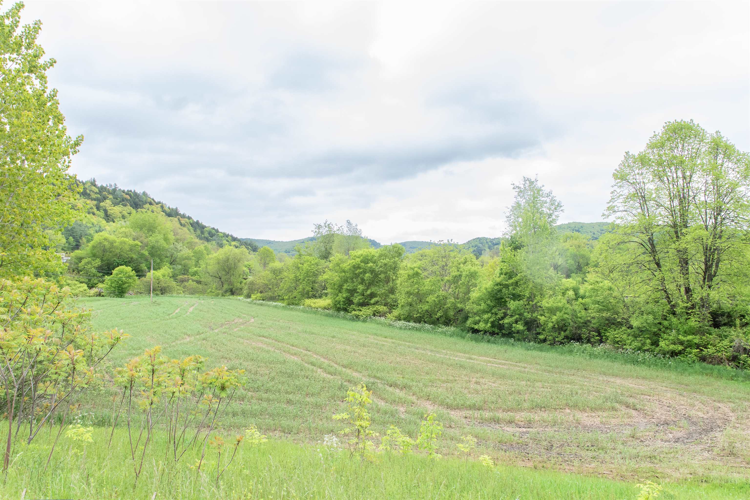 agriculture field