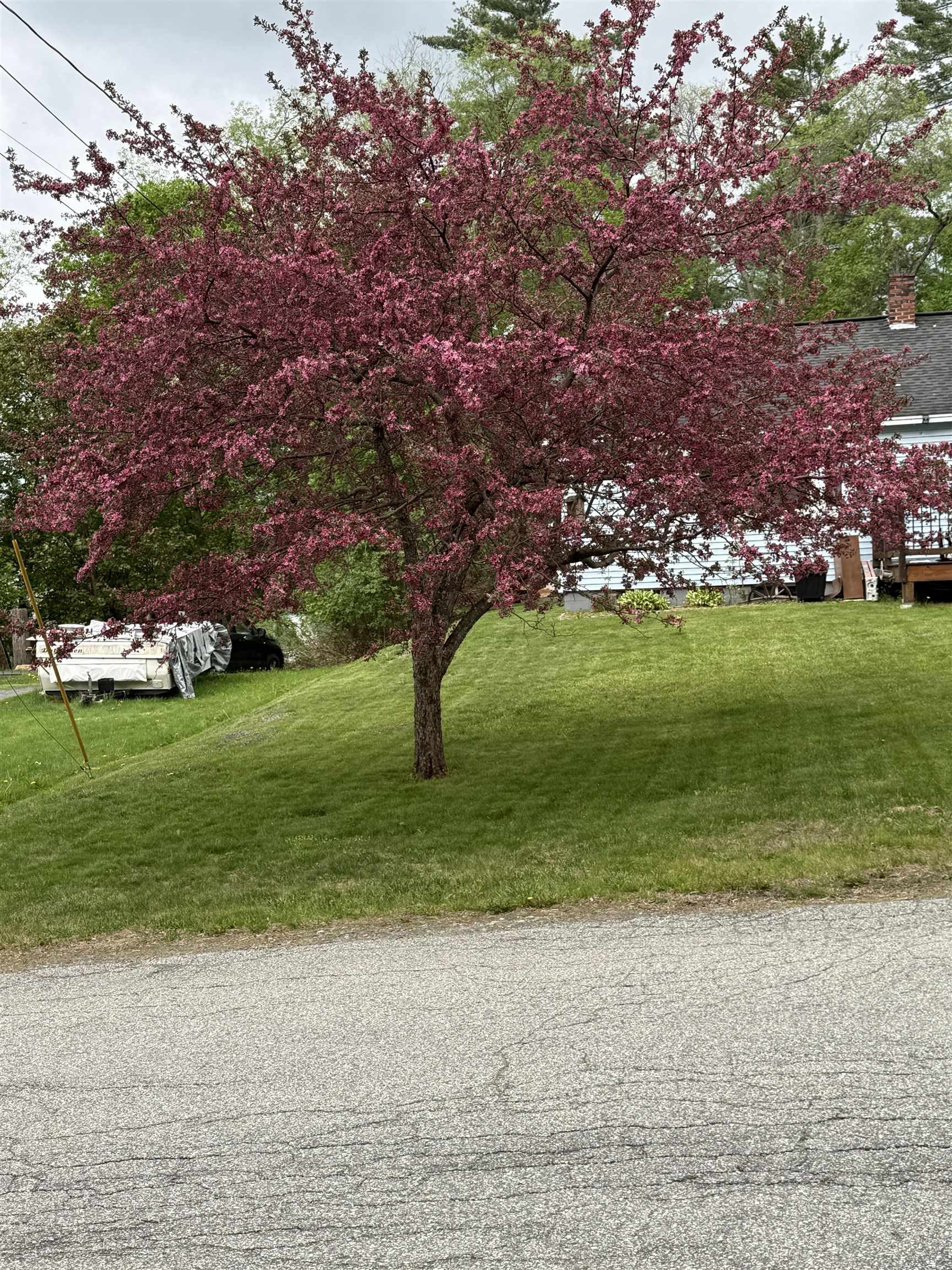59 Bishop St, Littleton, NH 03561