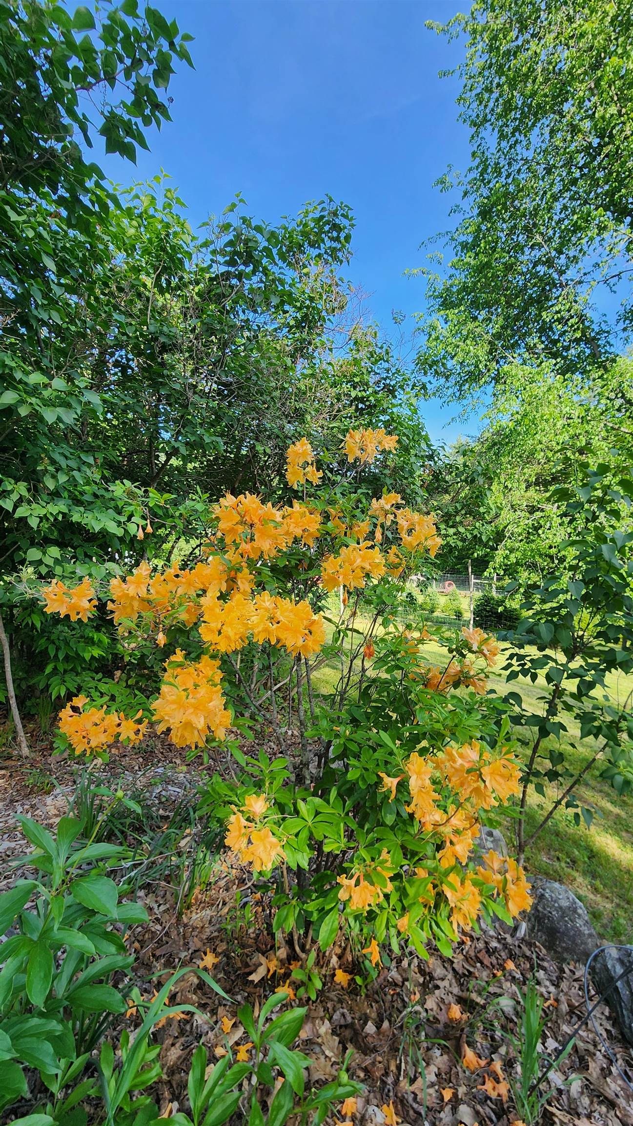 Property photo 48
