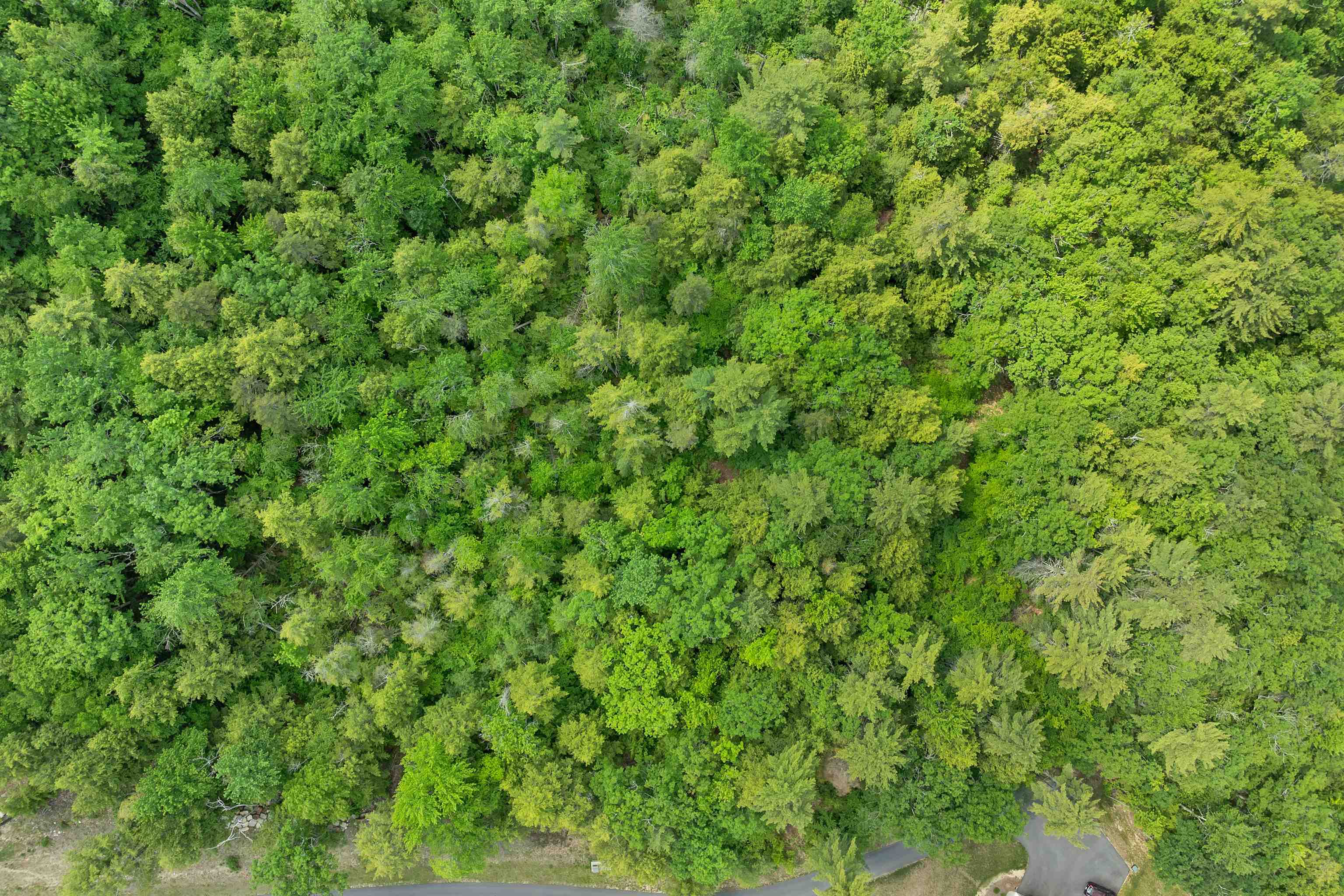 Map 15 Lot 60 Brynn Ln, Alton, NH 03809