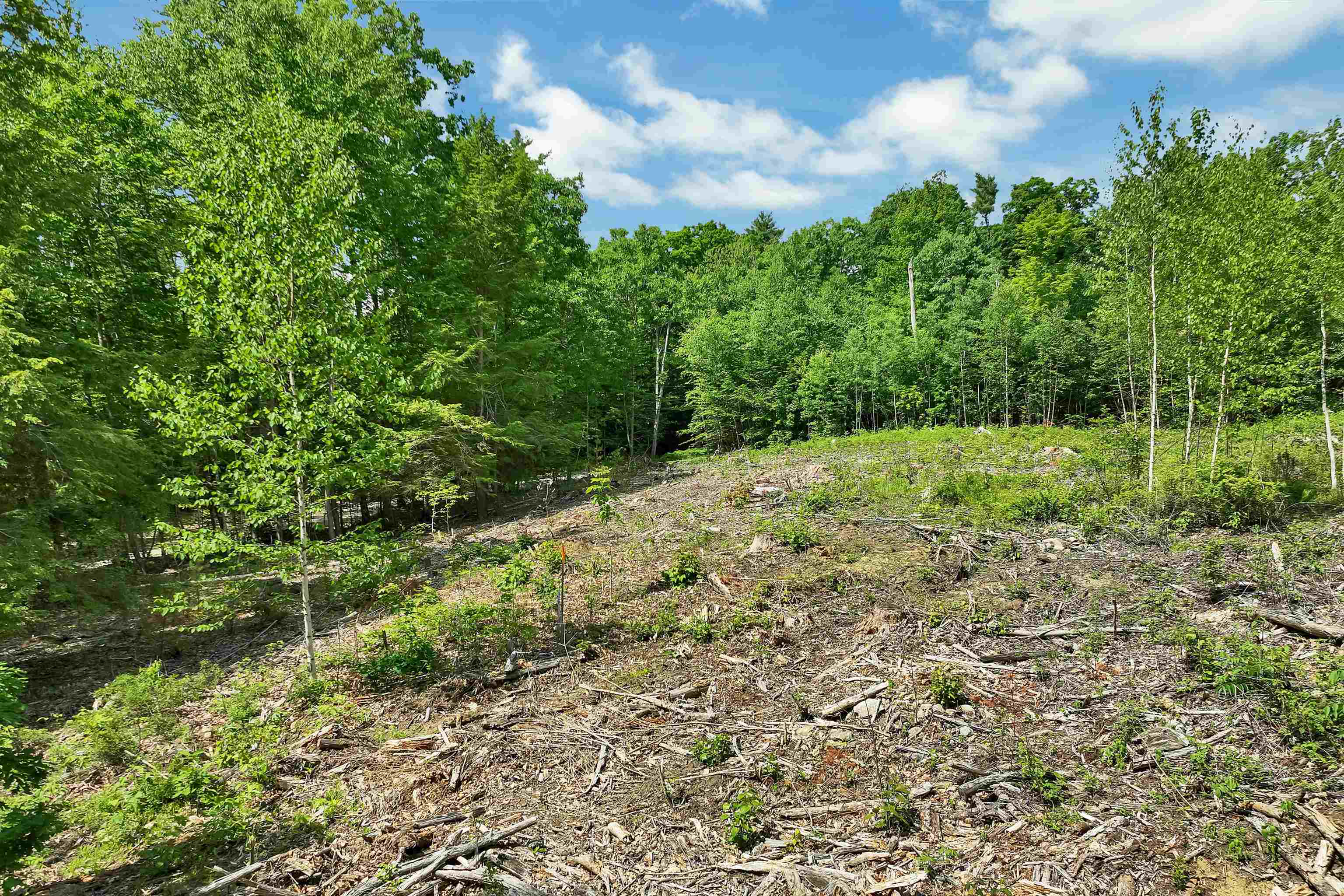 Photo 3 of Land for sale at 40 Lowden Rd, Center Barnstead, NH 03225 | MLS# 5095159 | Listing updated on 2026-09-16