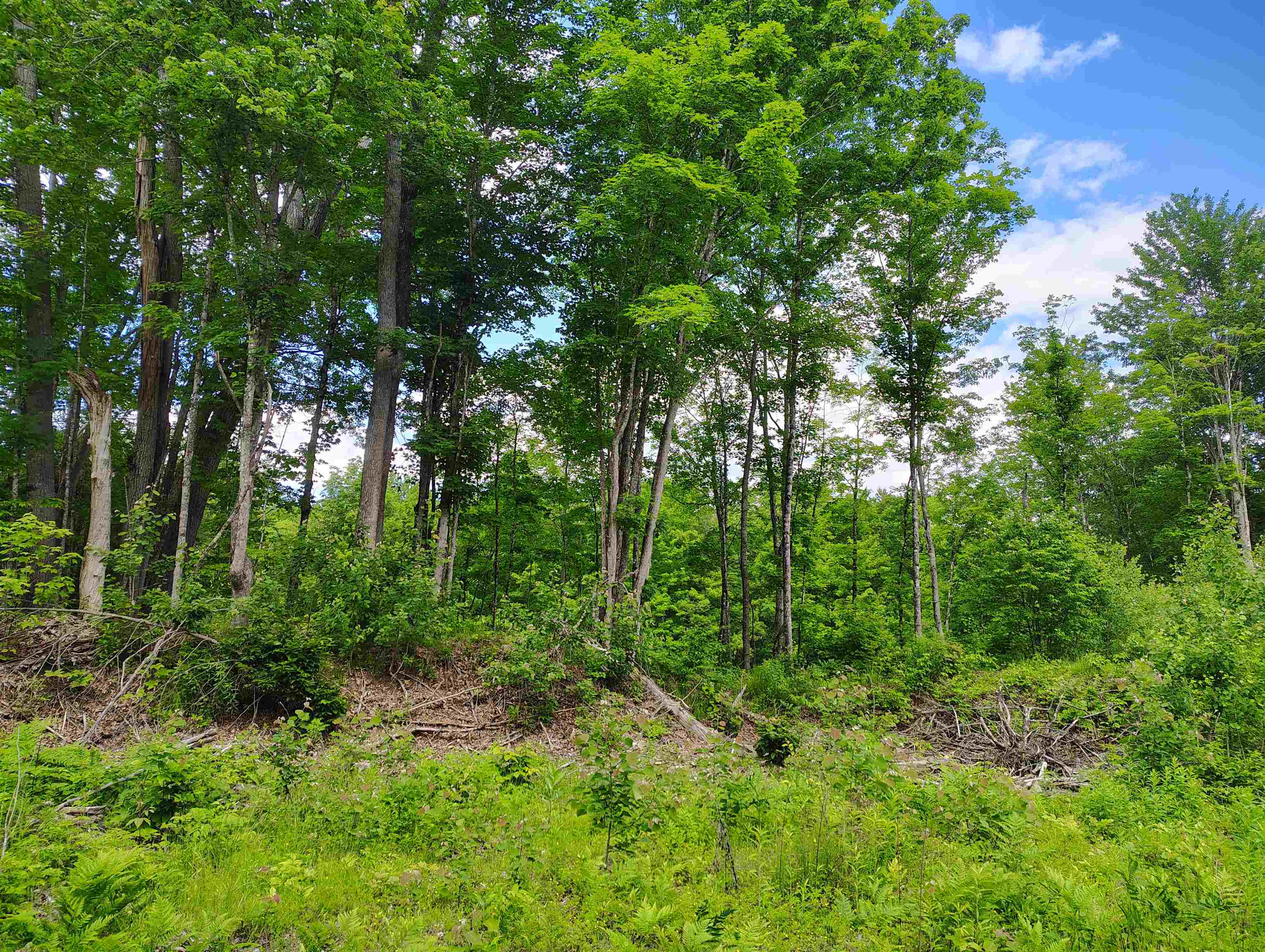 12 Frescoln Rd, Wentworth, NH 03282
