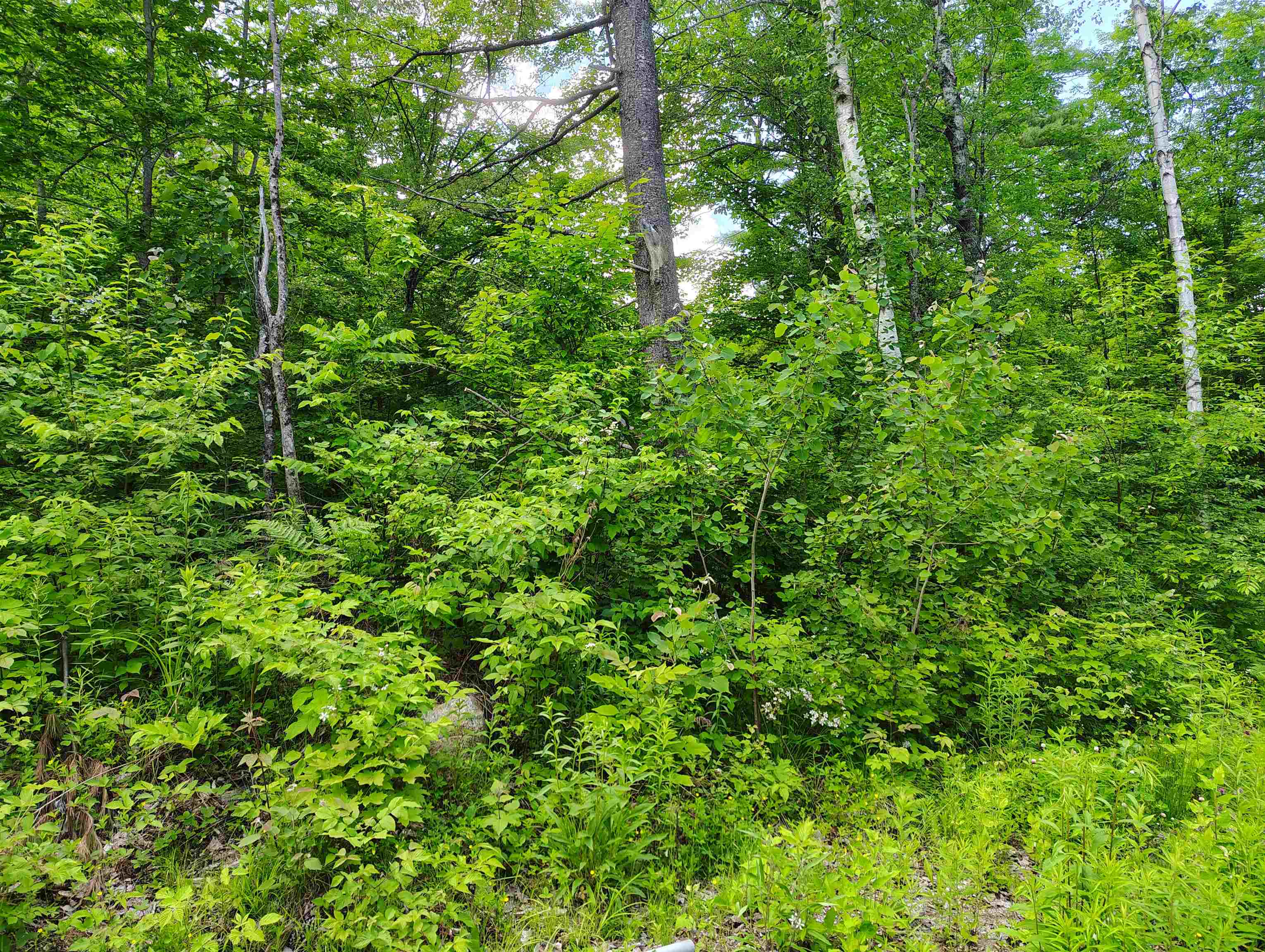 12 Frescoln Rd, Wentworth, NH 03282