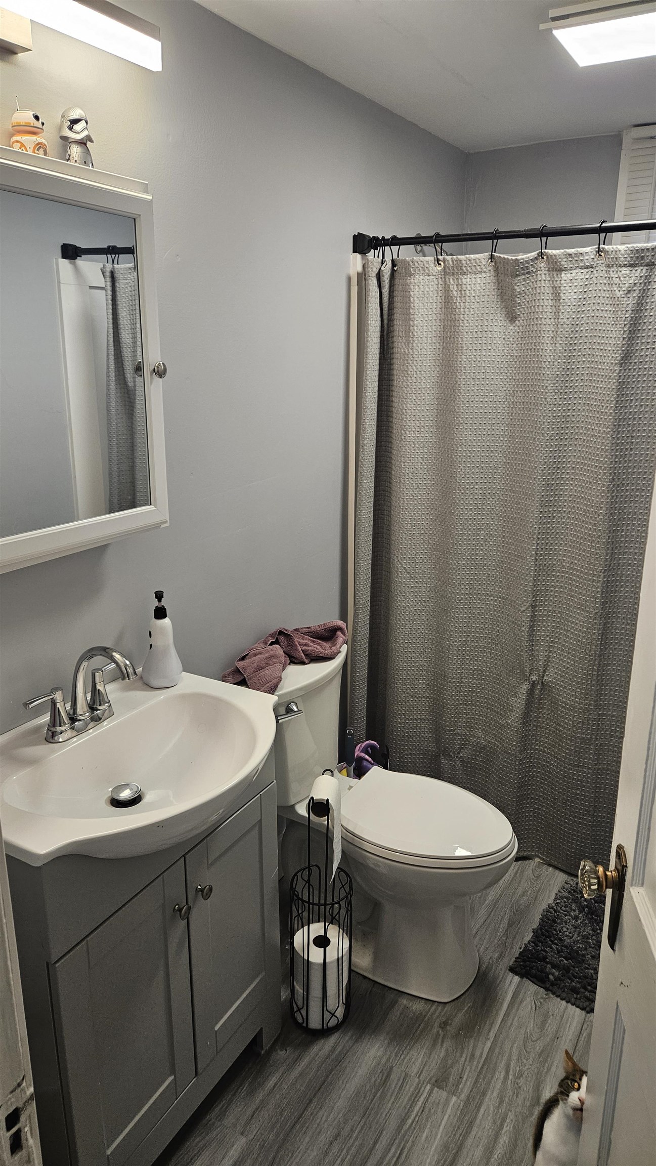 Picture 9