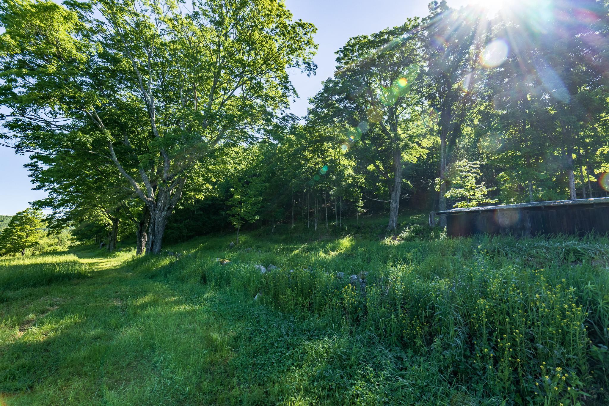 Property photo 23