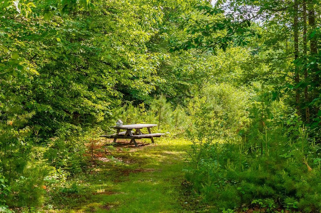  25552468