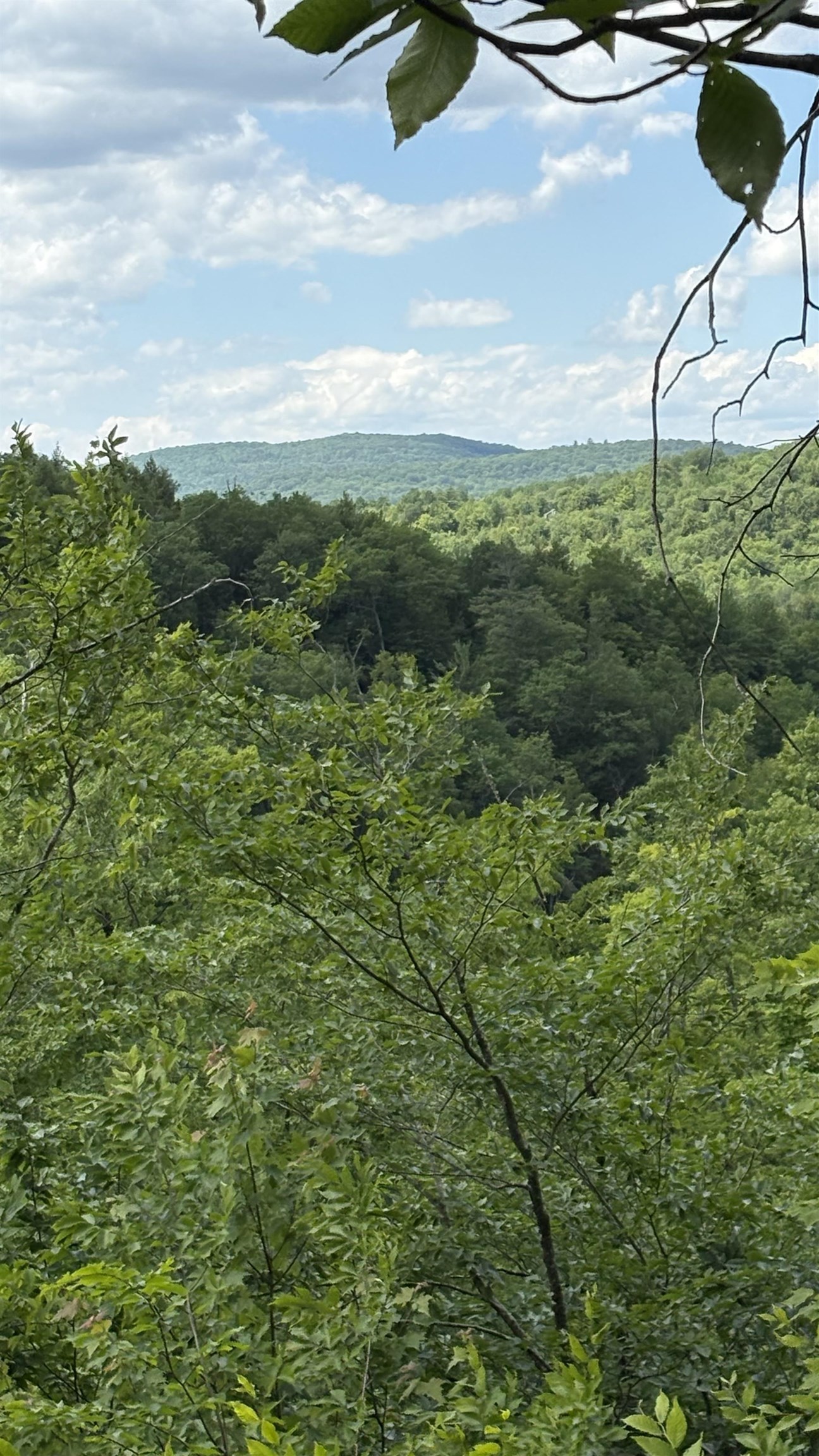 Oregon Rd, Lyman, NH 03585