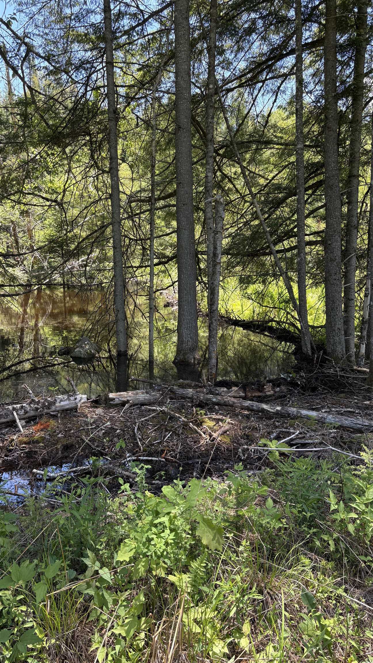 Oregon Rd, Lyman, NH 03585