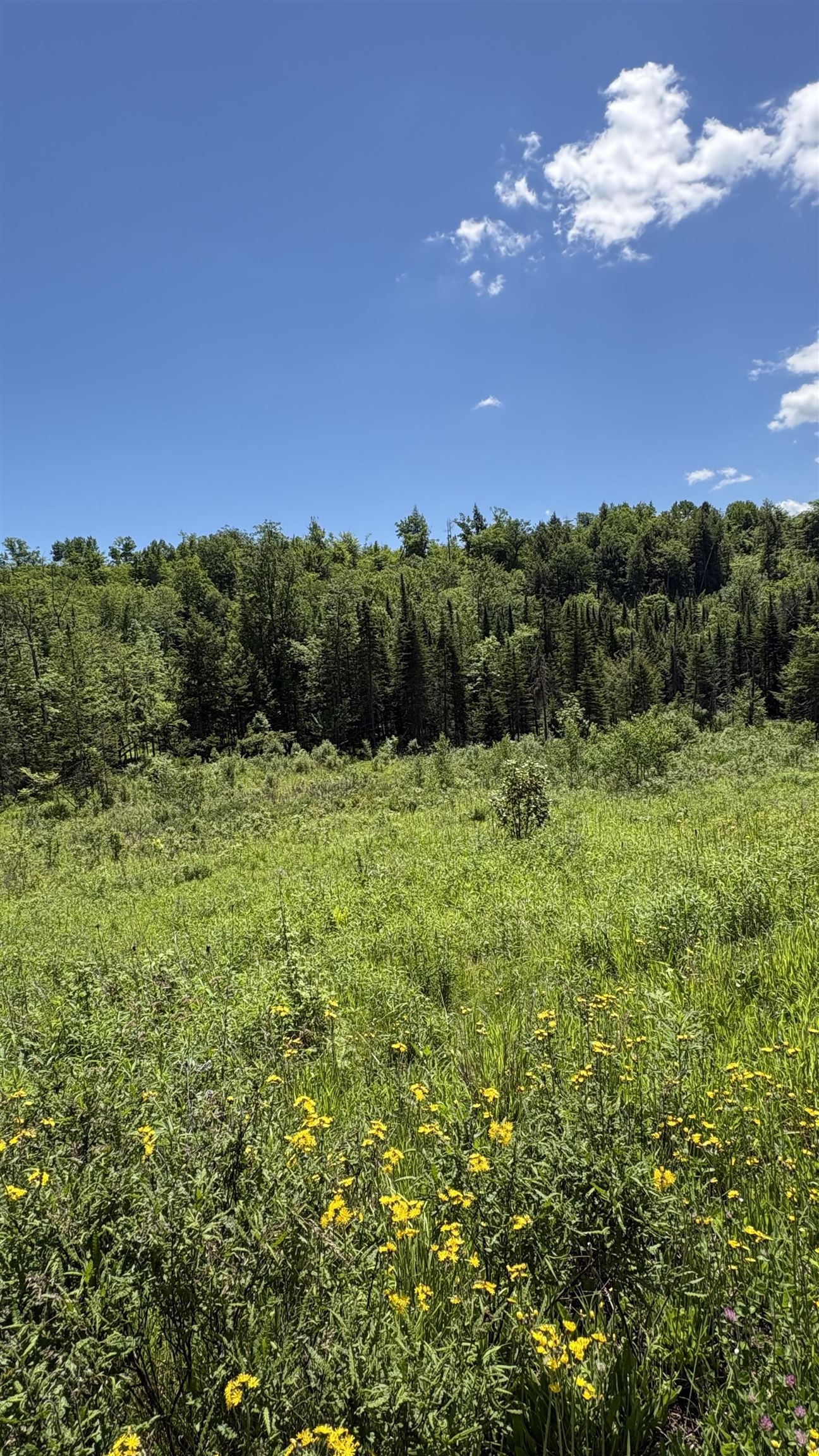 Oregon Rd, Lyman, NH 03585