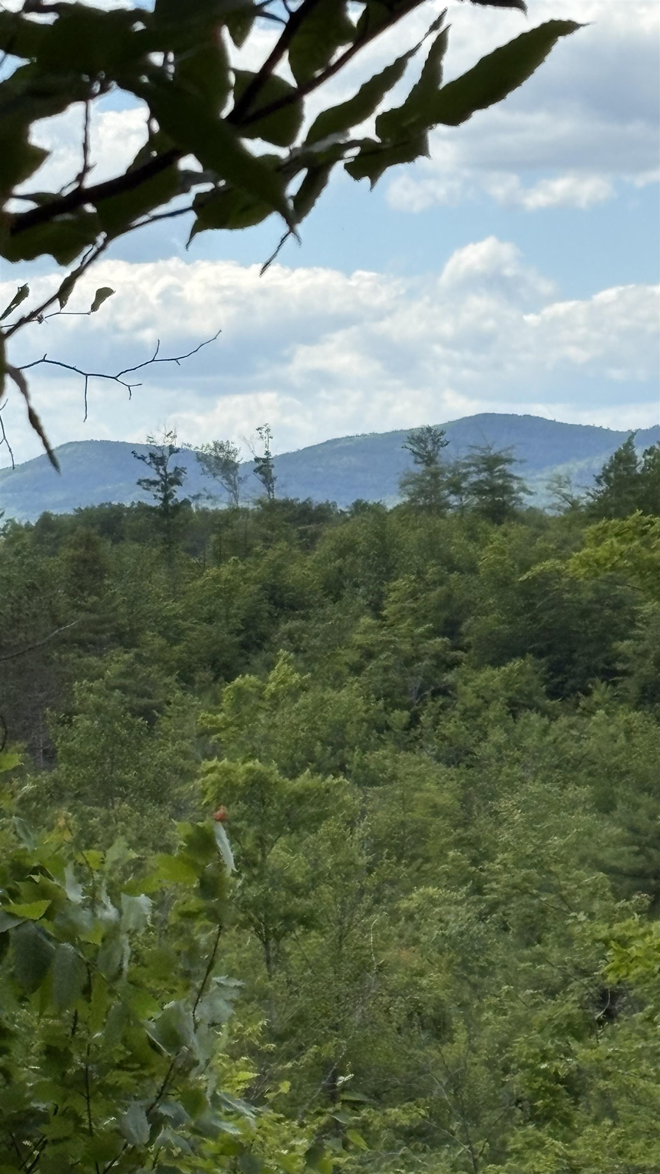 Oregon Rd, Lyman, NH 03585