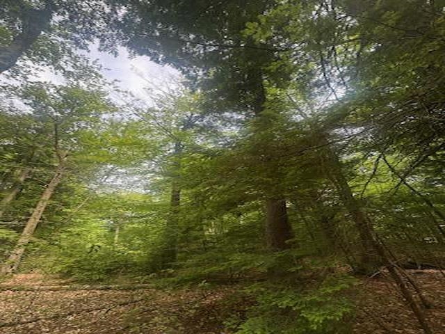 115 Deer Path Ln, Bridgewater, NH 03222