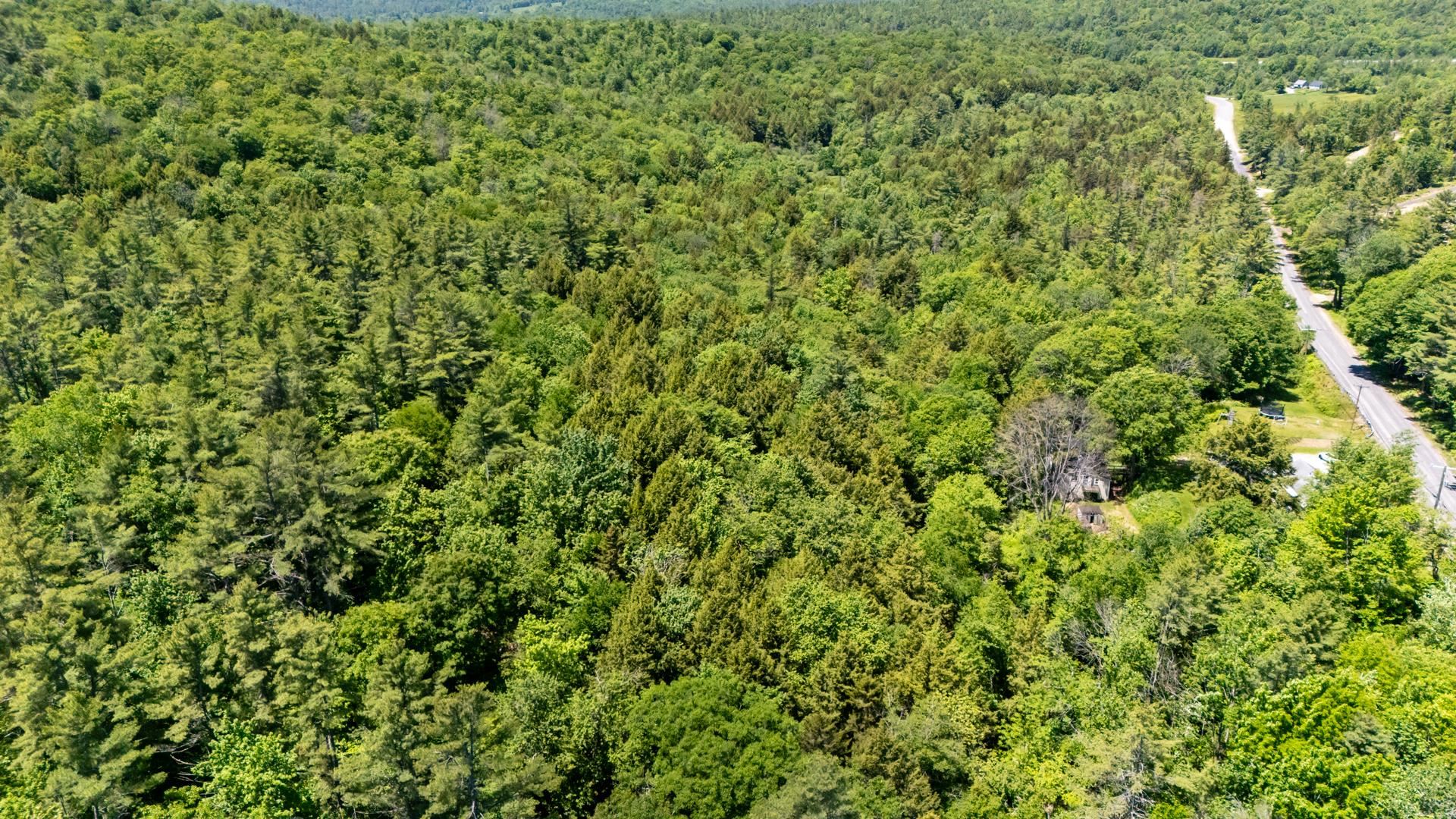 202 Granite Lake Rd, Nelson, NH 03457