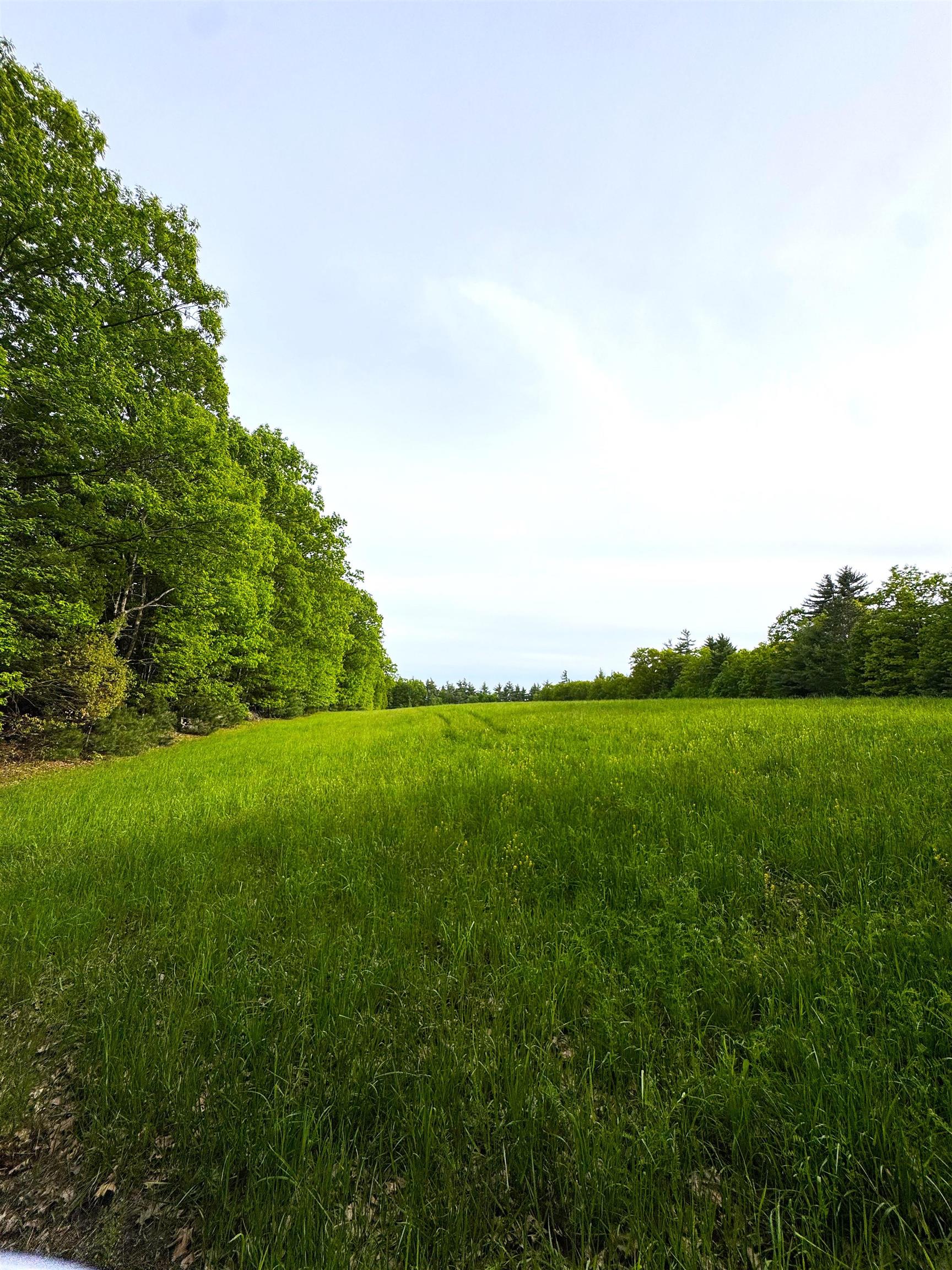 107 Greenfield Rd, New Boston, NH 03070