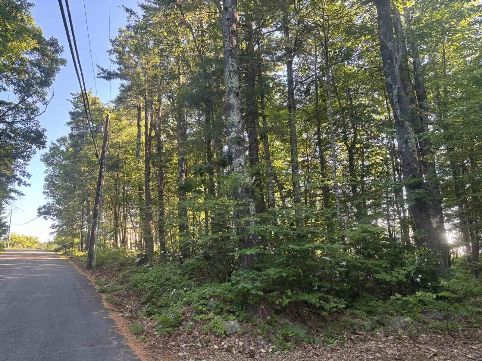 LOT B-70-3 Pead Hill Rd, Wilton, NH 03086