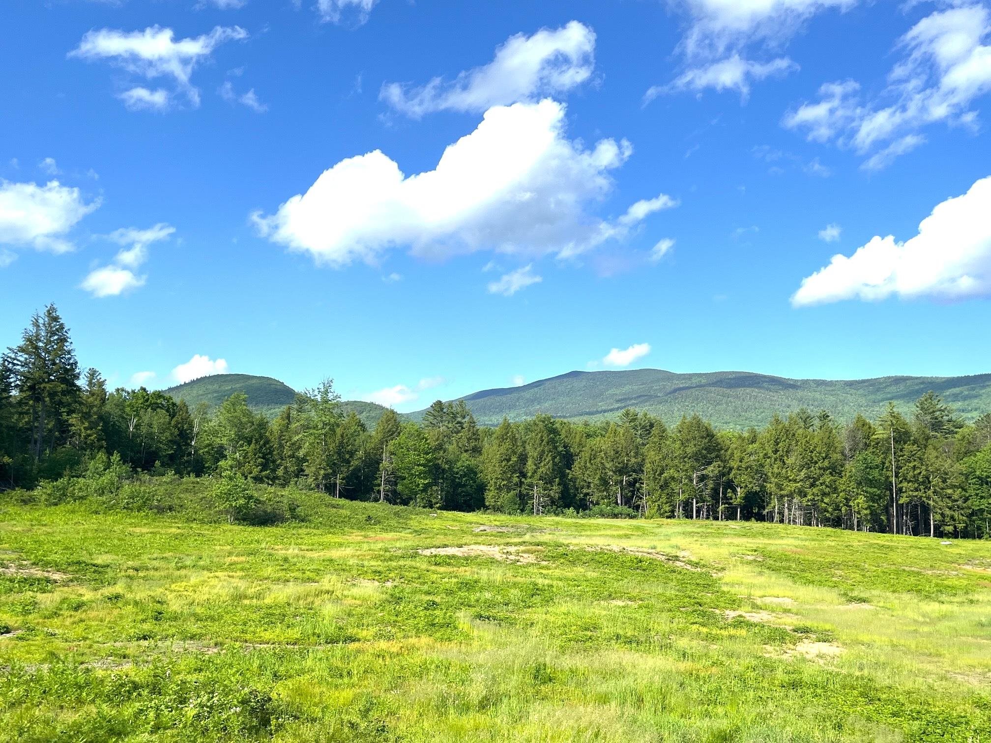 139 A Turner Rd, Wentworth, NH 03282