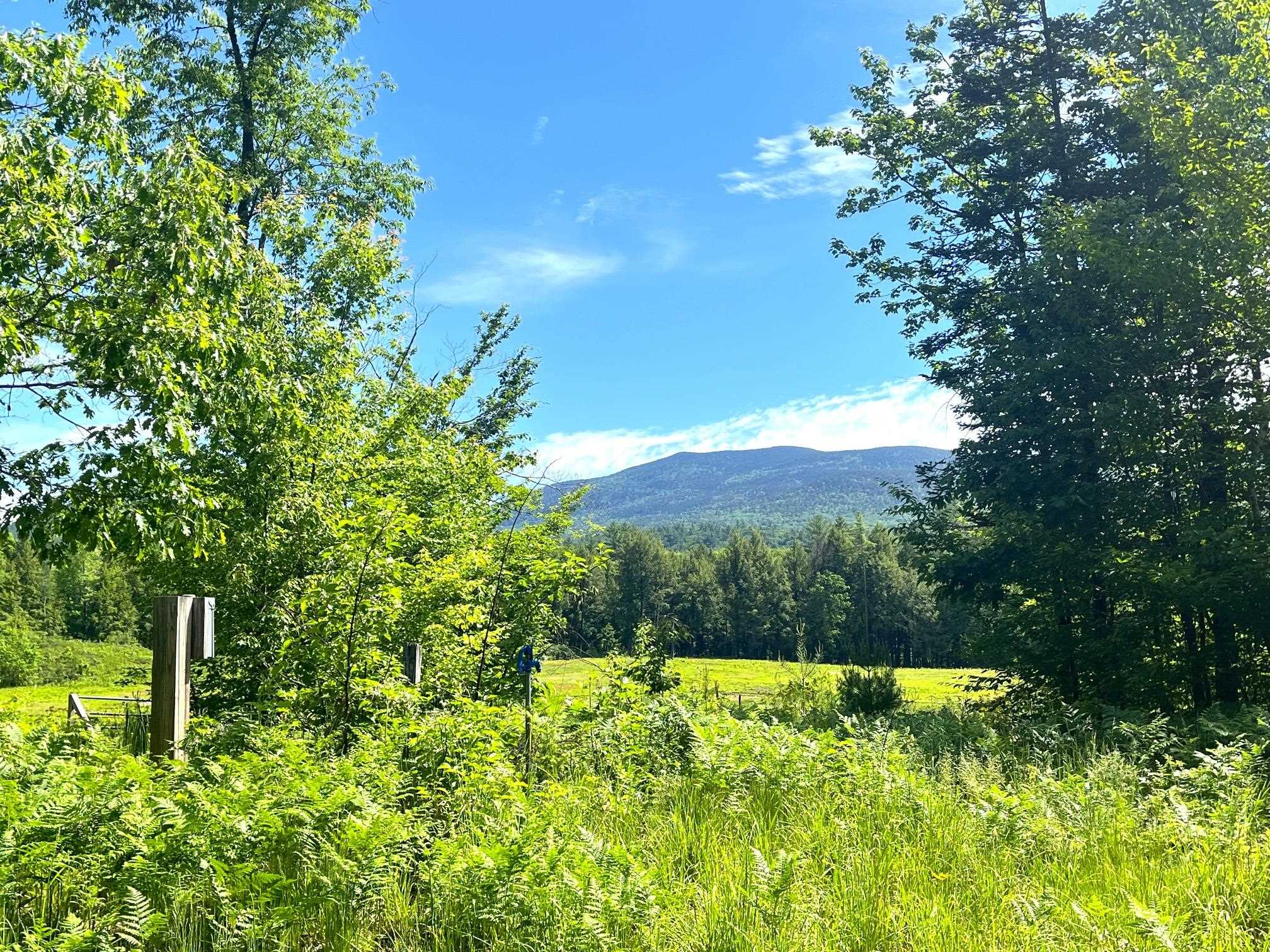 139 A Turner Rd, Wentworth, NH 03282