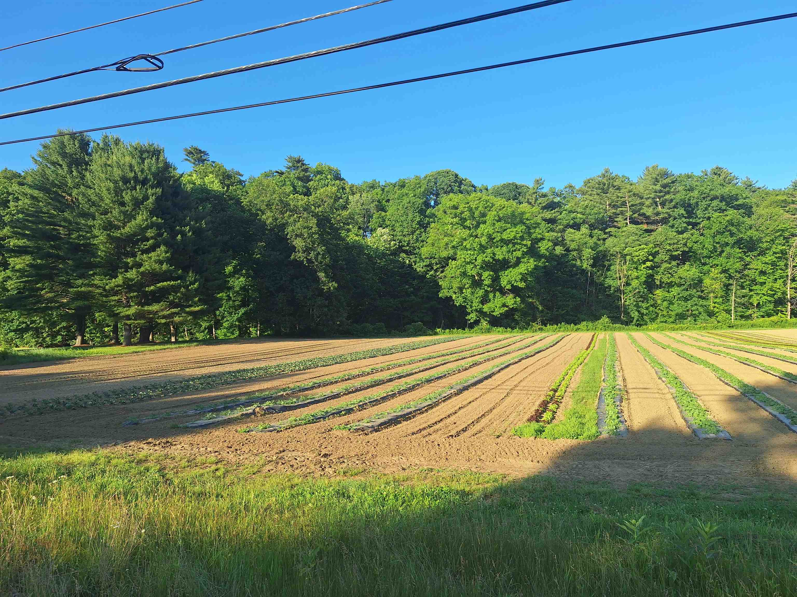 00 Main St, Walpole, NH 03608