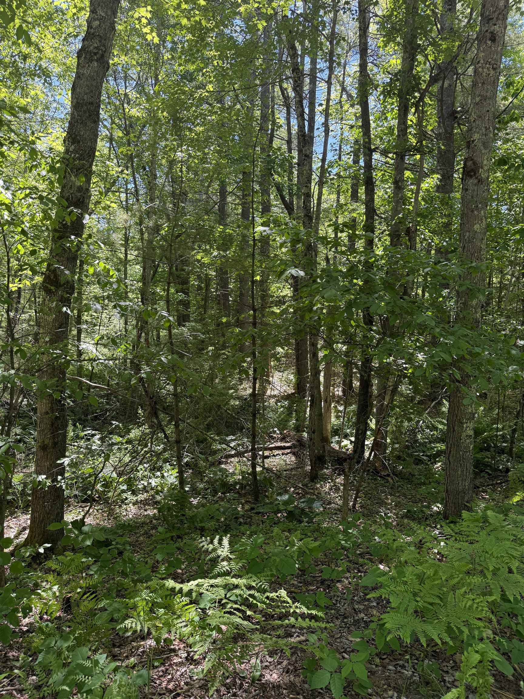 Washington St, Barrington, NH 03825