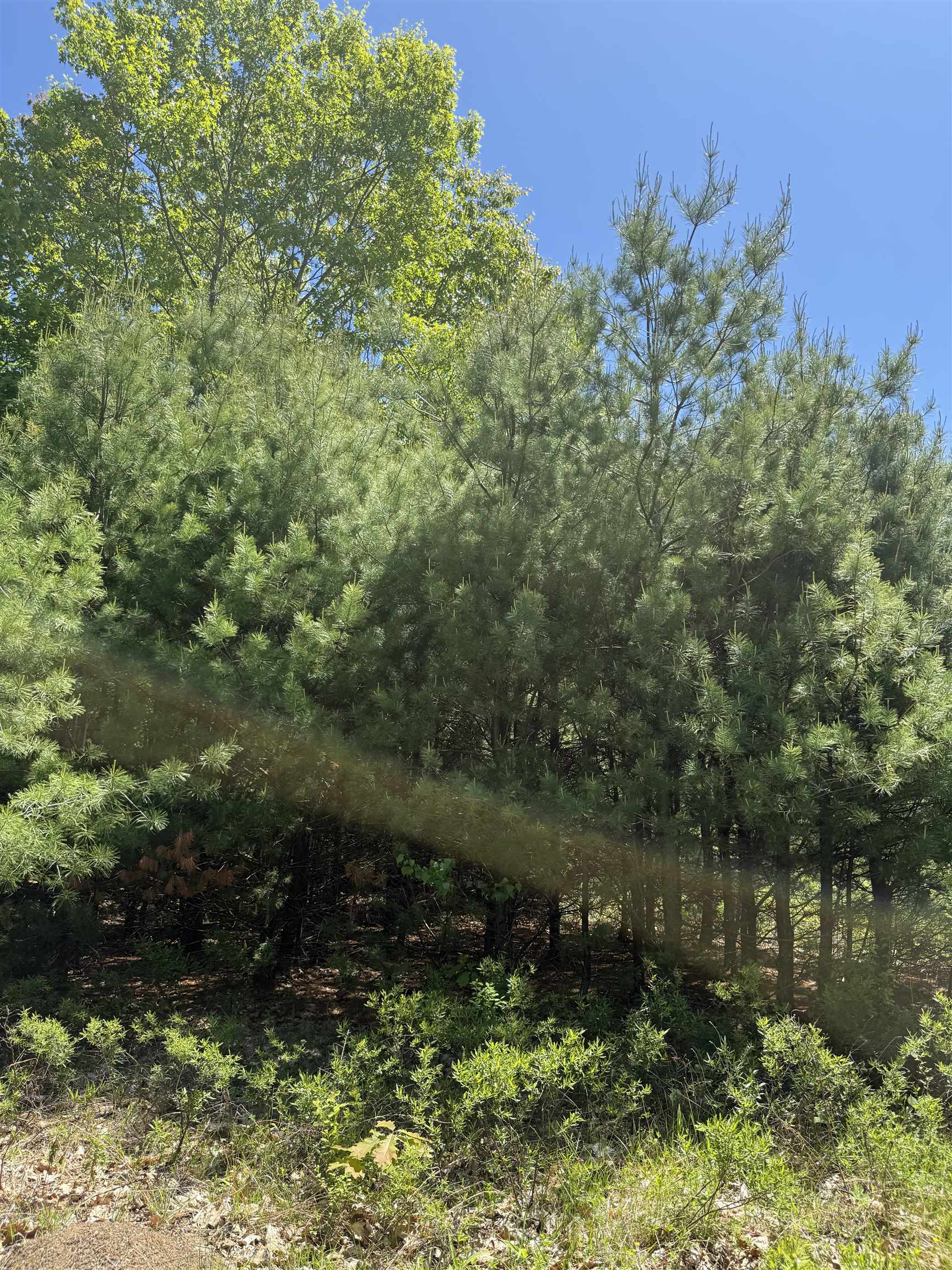 Photo 6 of 18