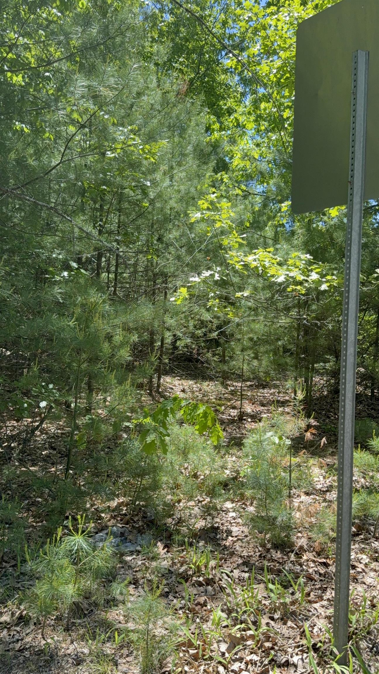 Photo 9 of 18