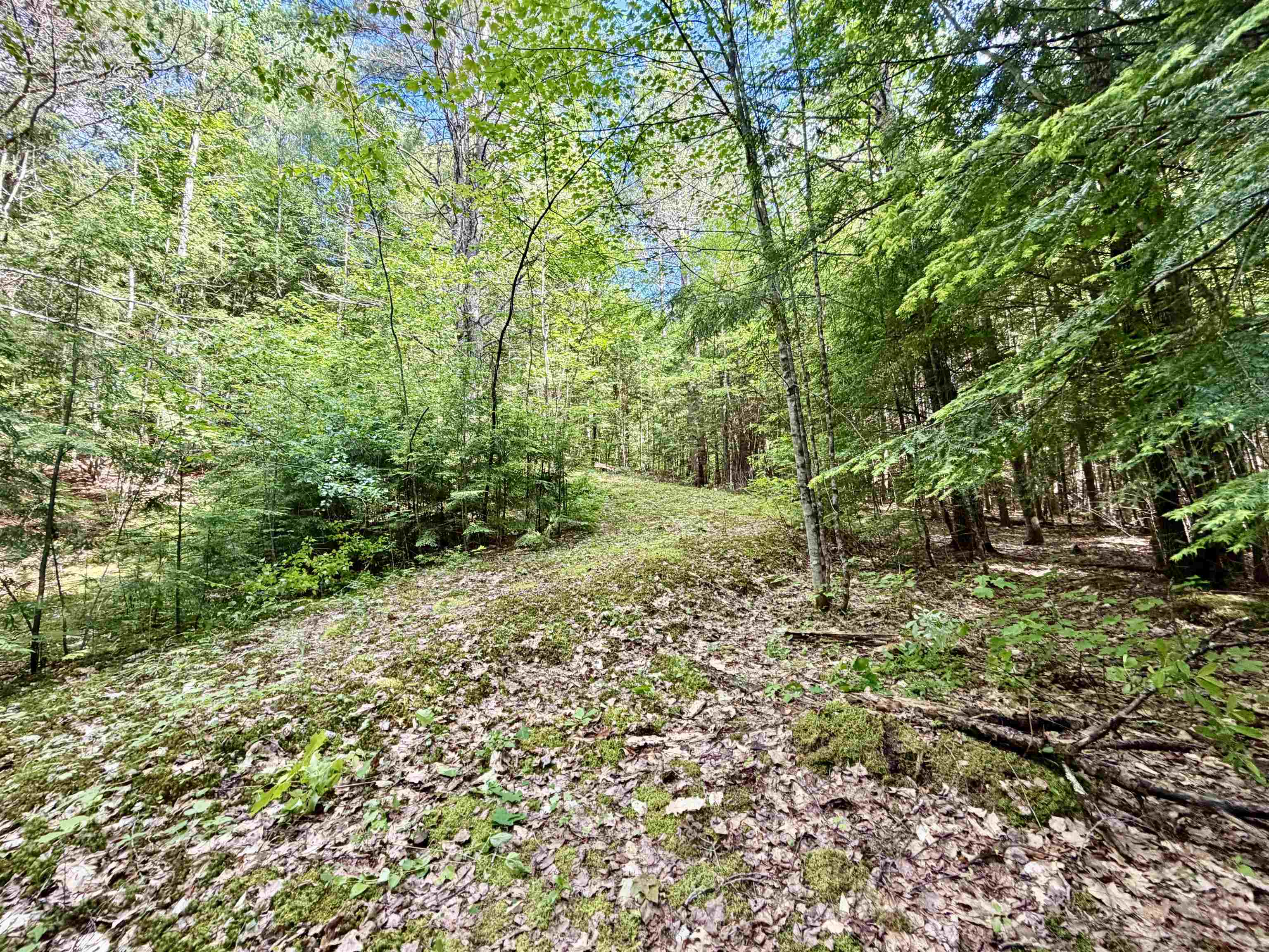 Nh Route 175, Campton, NH 03223