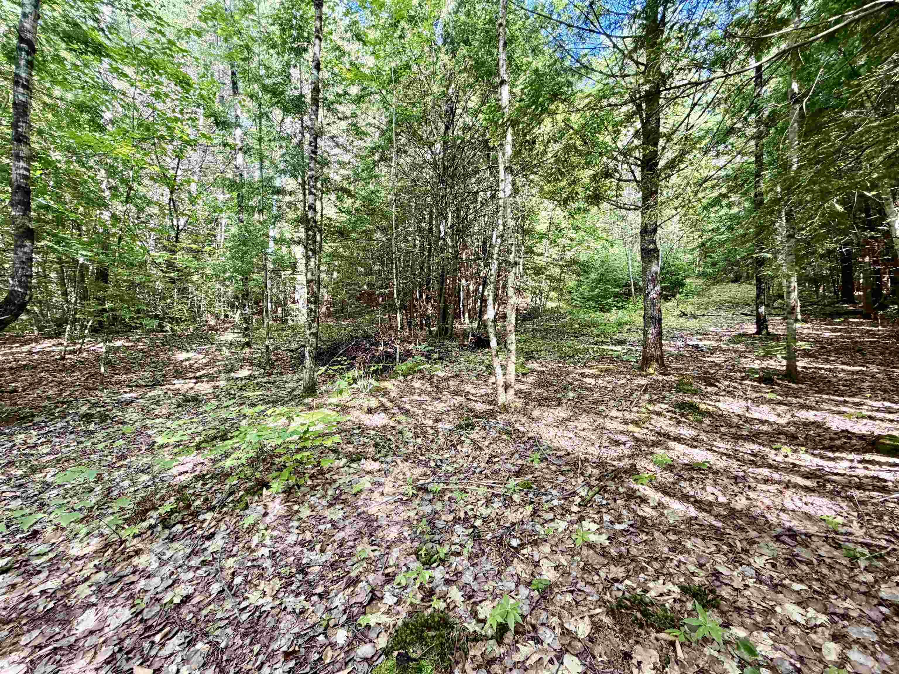 Nh Route 175, Campton, NH 03223
