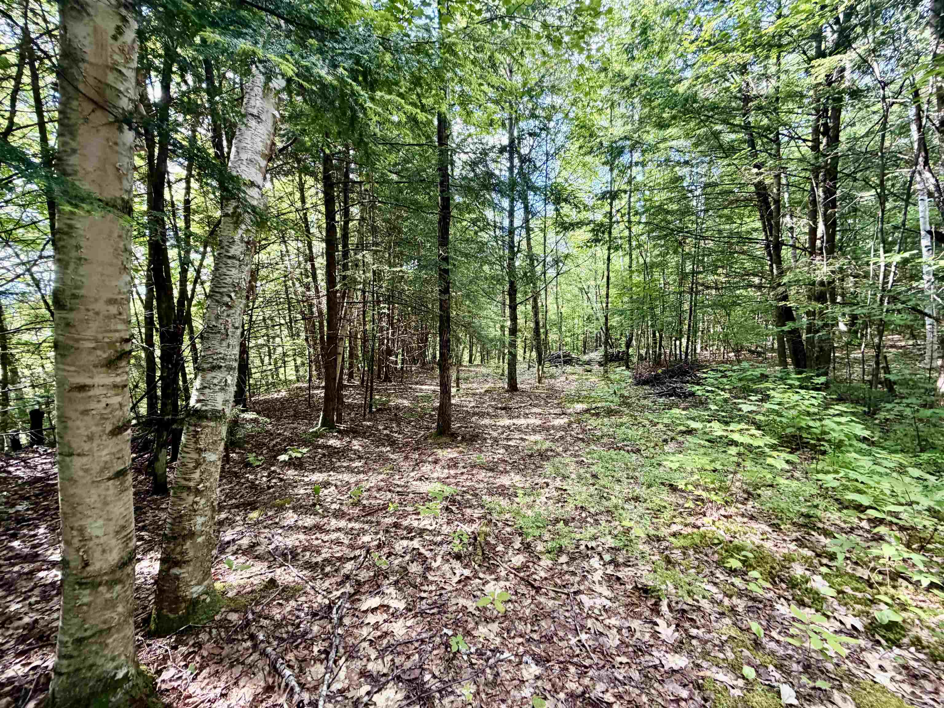 Nh Route 175, Campton, NH 03223