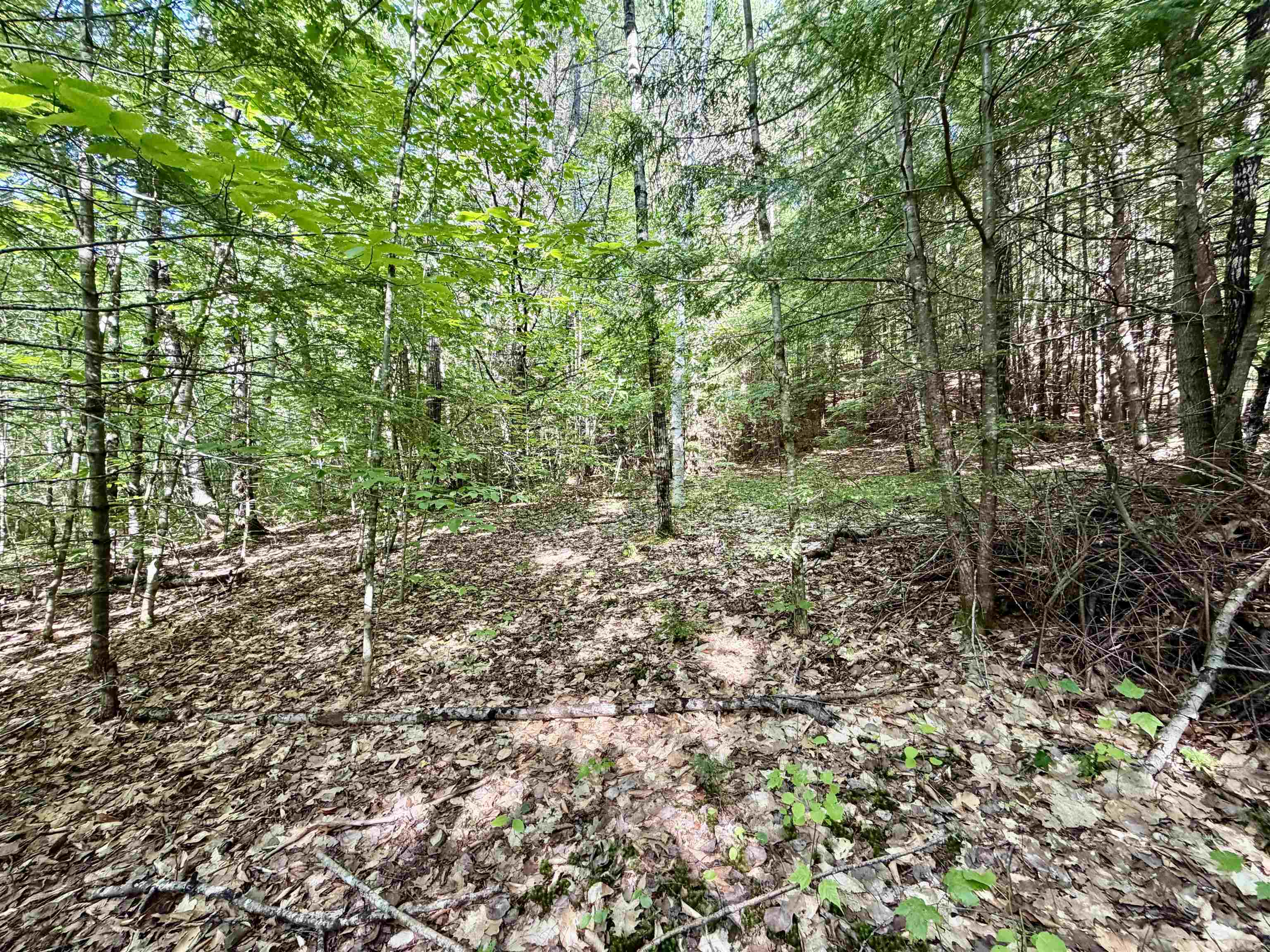 Nh Route 175, Campton, NH 03223