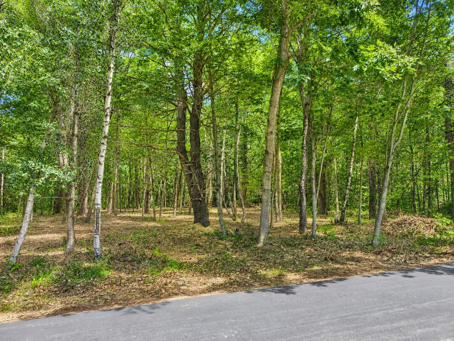 60 Fairway Dr, Ashland, NH 03217