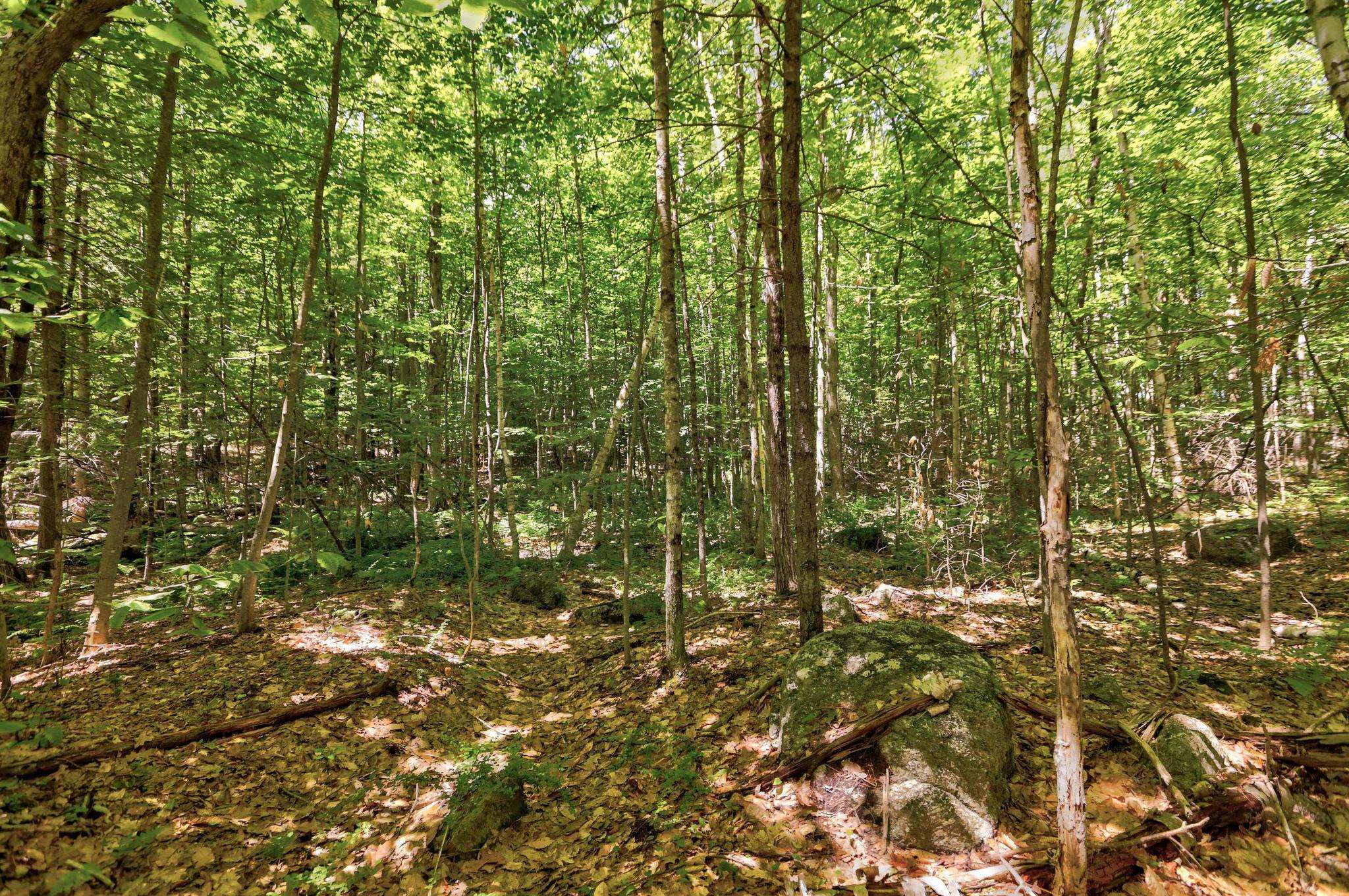 Lot 12-2 Needle Eye Rd, Meredith, NH 03253