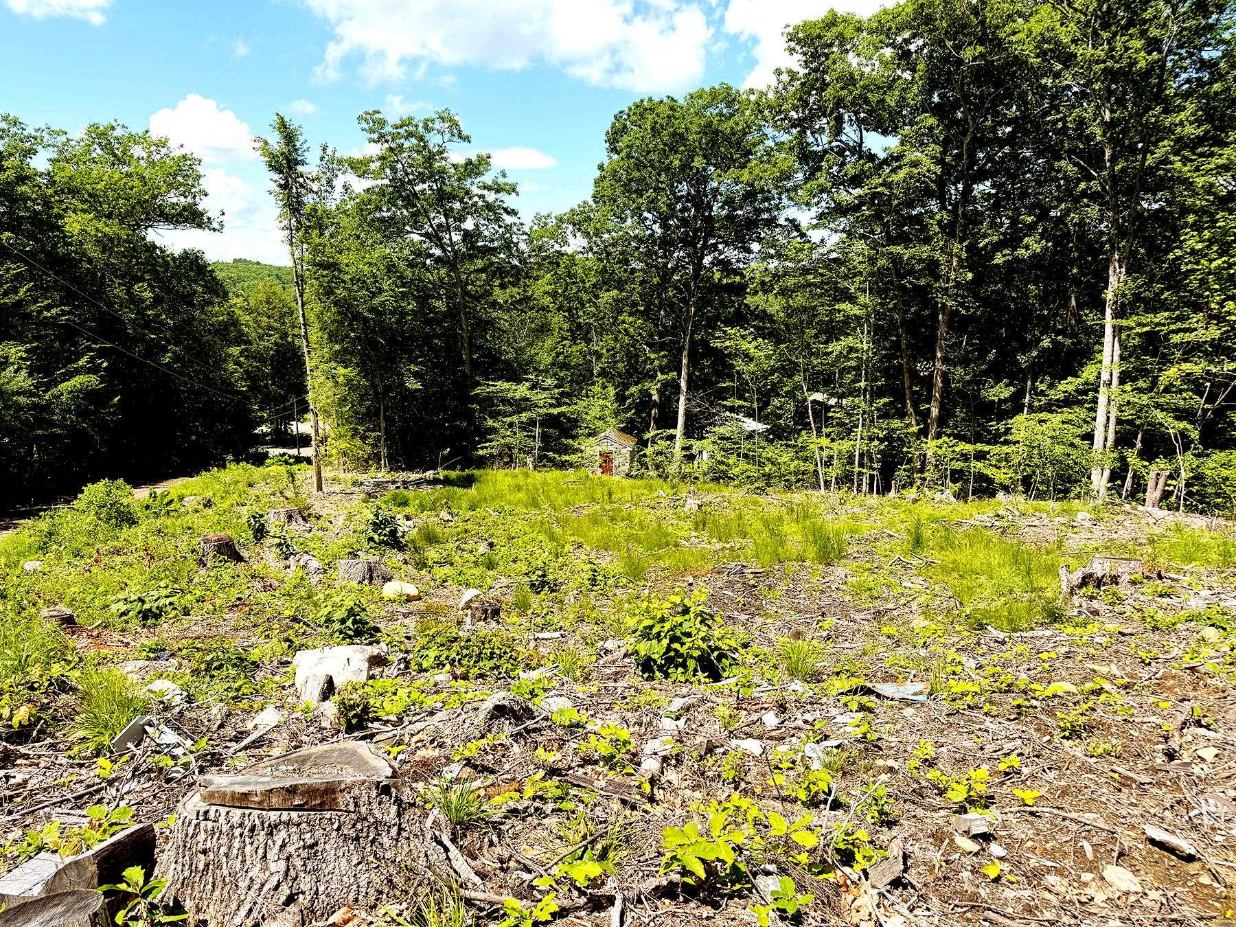 TM 132 L 91 Buck Ln, Gilmanton, NH 03237