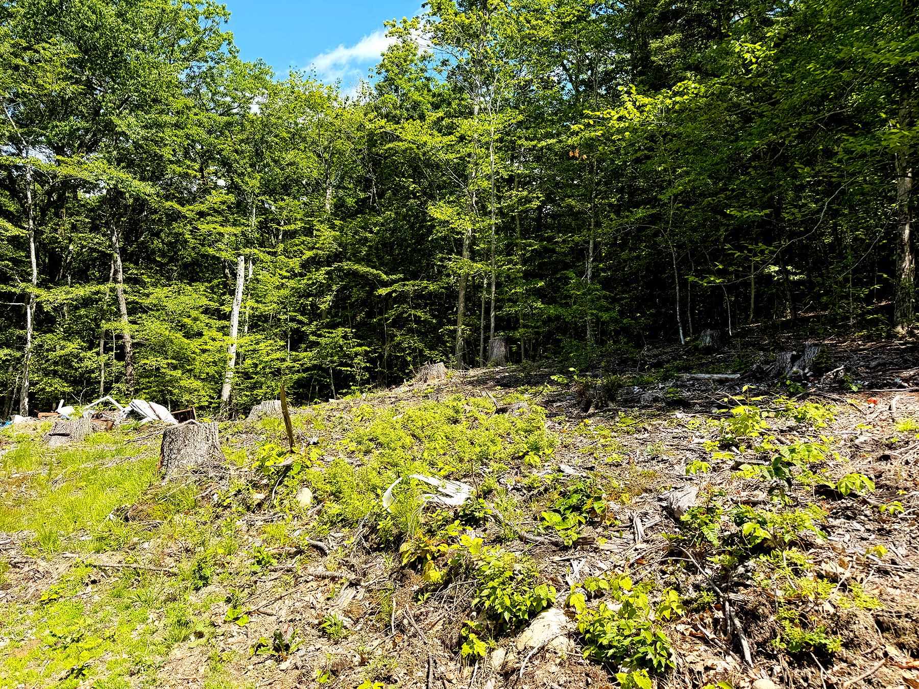 TM 132 L 91 Buck Ln, Gilmanton, NH 03237