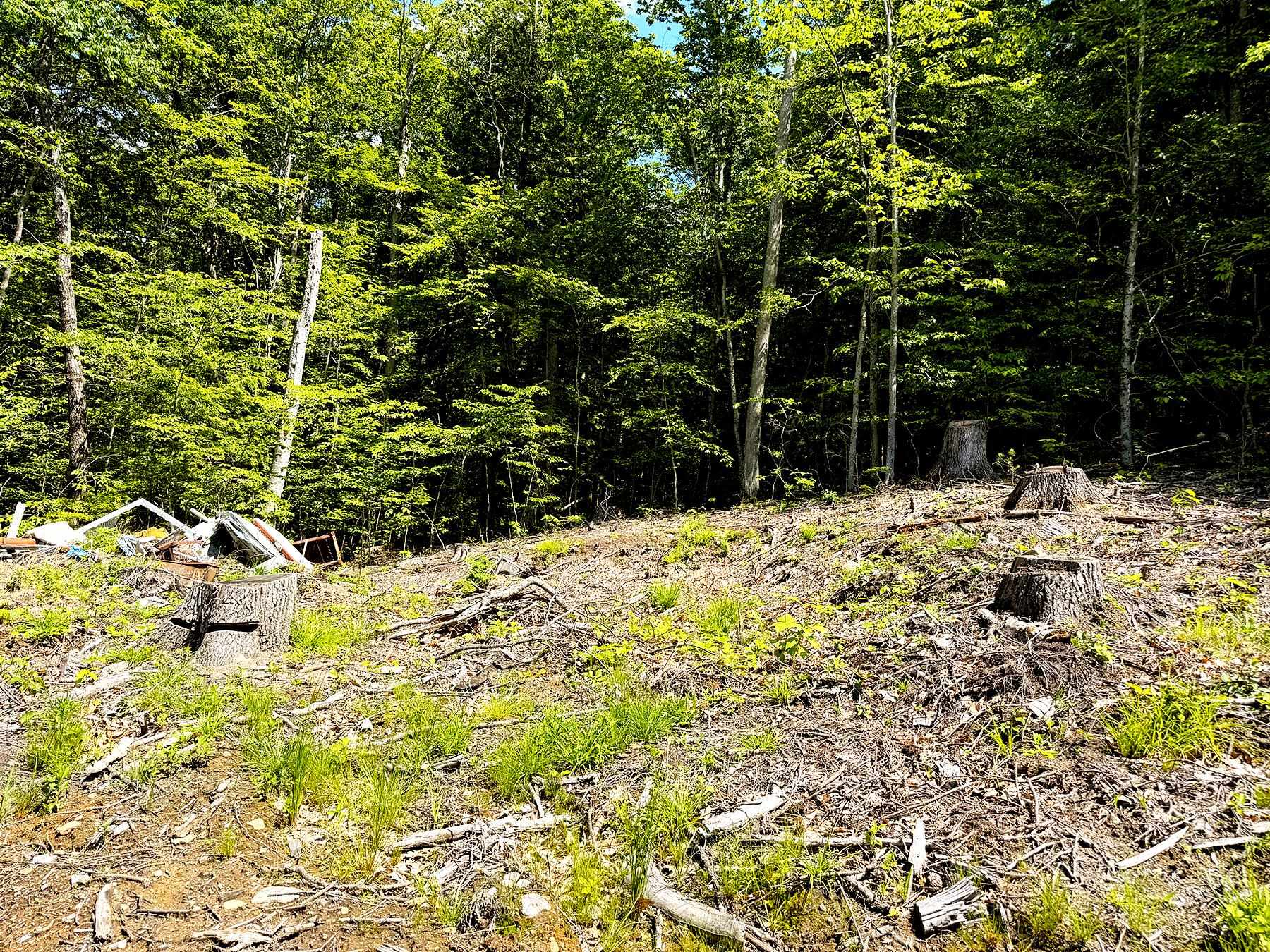 TM 132 L 91 Buck Ln, Gilmanton, NH 03237