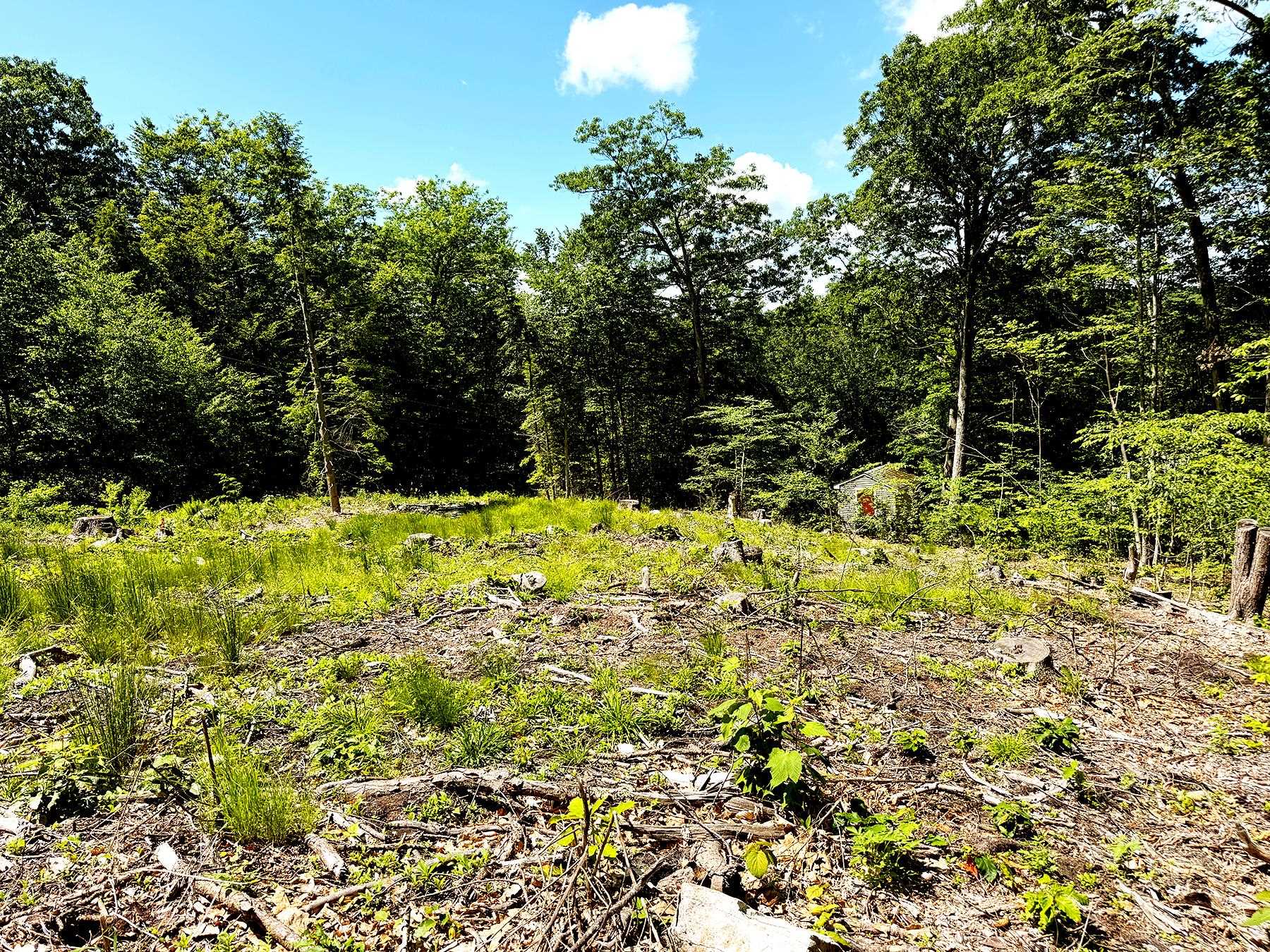 TM 132 L 91 Buck Ln, Gilmanton, NH 03237