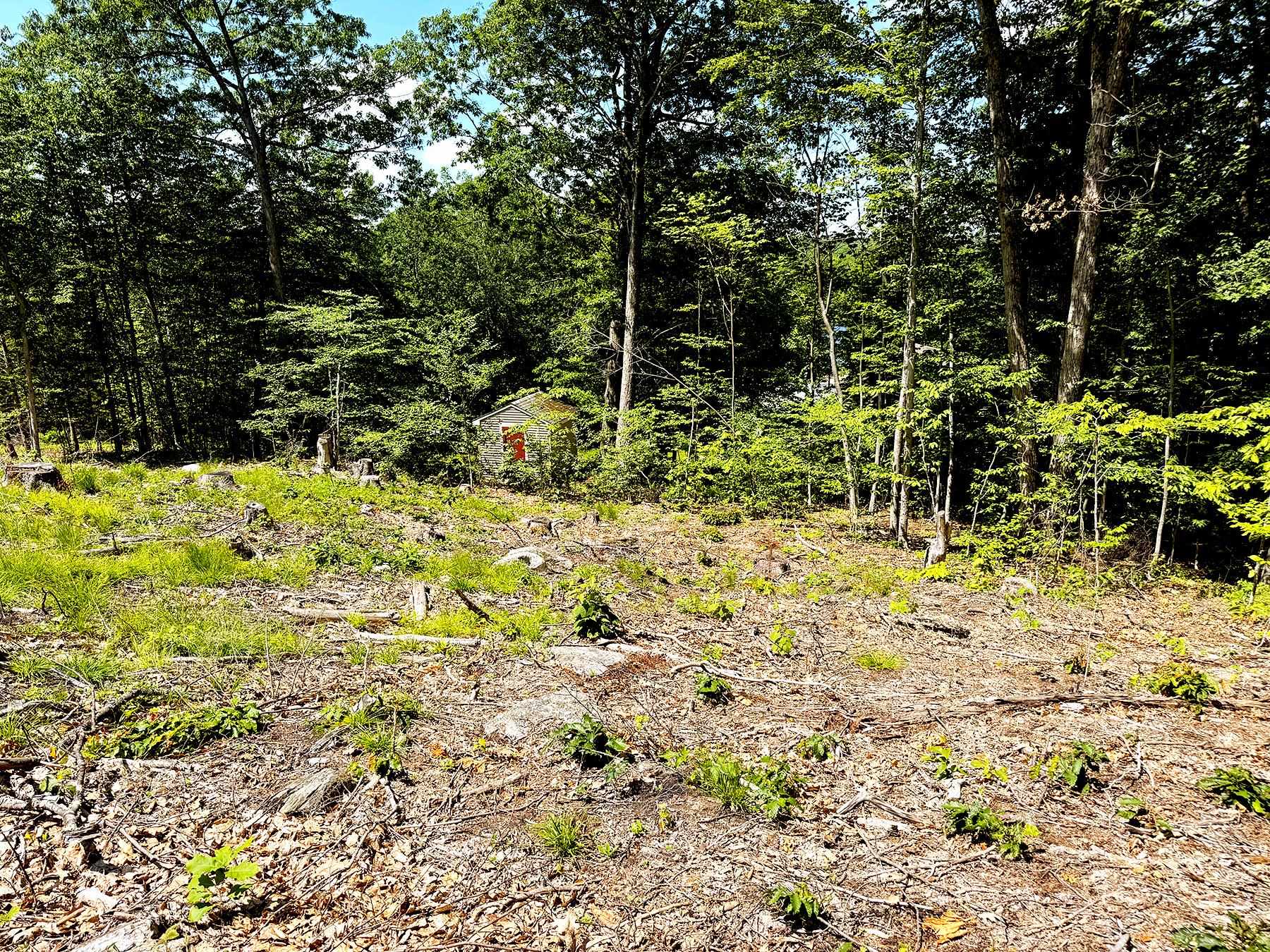 TM 132 L 91 Buck Ln, Gilmanton, NH 03237