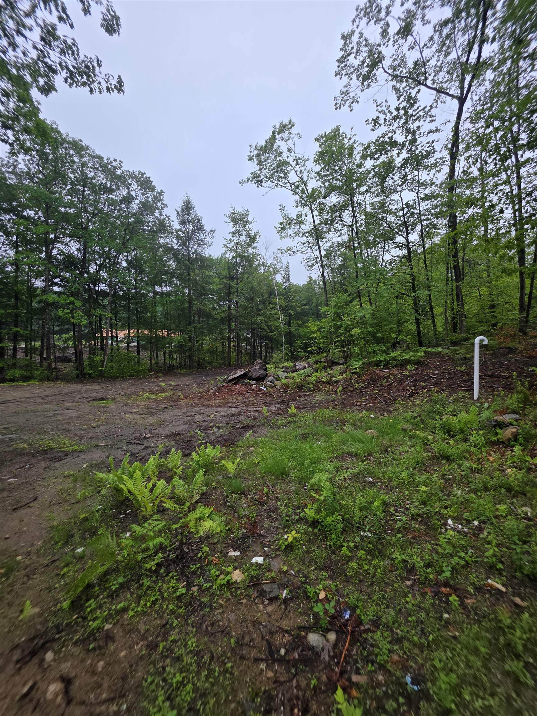 84 Texas Hill Road, Plymouth, NH photo 4