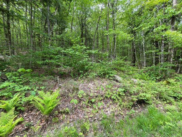 Dole School House Rd, Washington, NH 03280