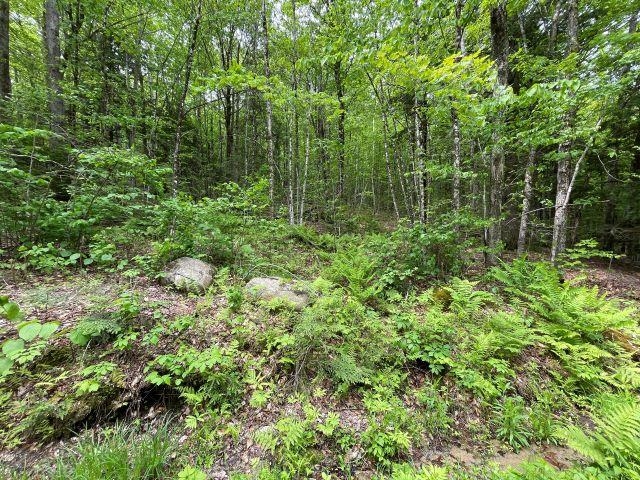 Dole School House Rd, Washington, NH 03280