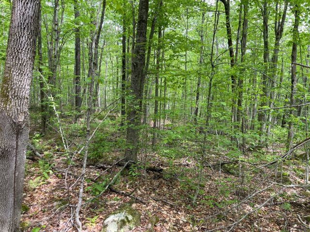 Dole School House Rd, Washington, NH 03280