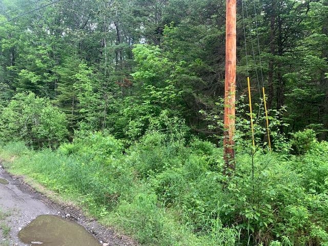TBD Griffin Rd, Stewartstown, NH 03576
