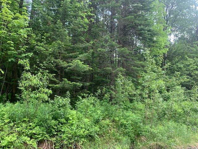 TBD Griffin Rd, Stewartstown, NH 03576