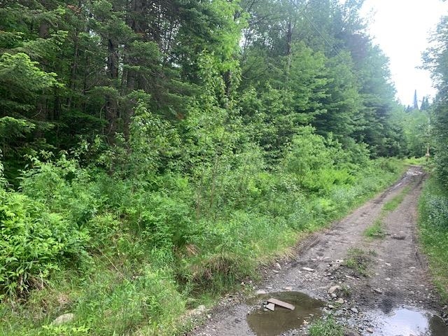 TBD Griffin Rd, Stewartstown, NH 03576