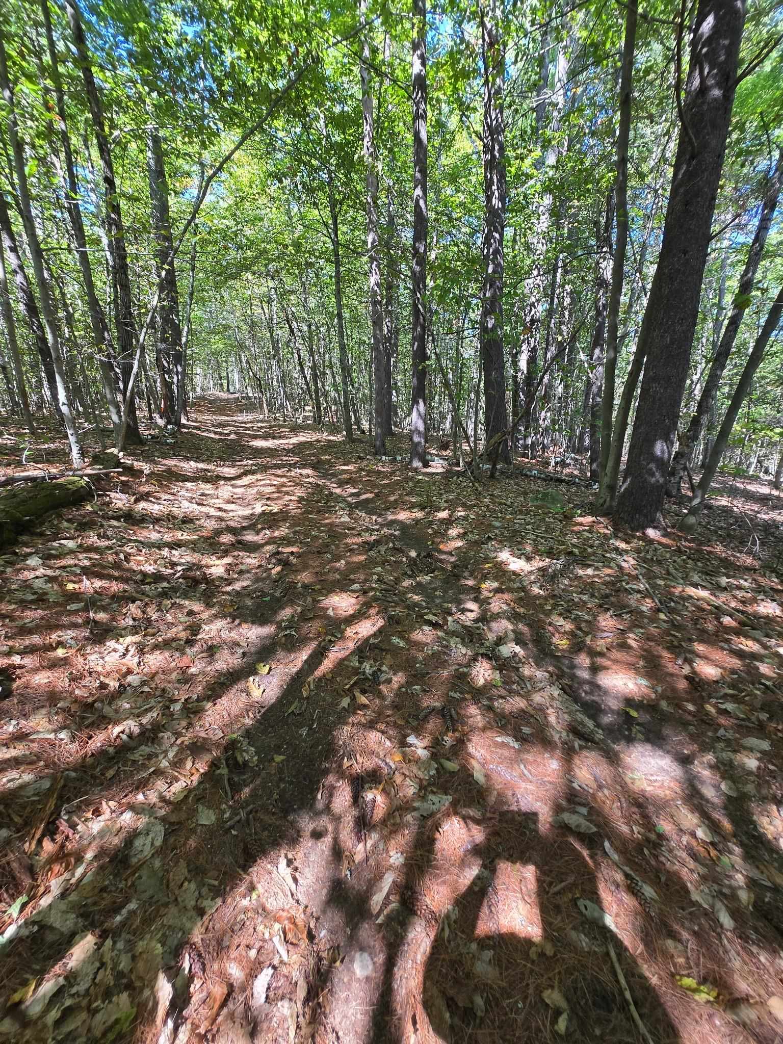 Grove Rd, New Durham, NH 03855