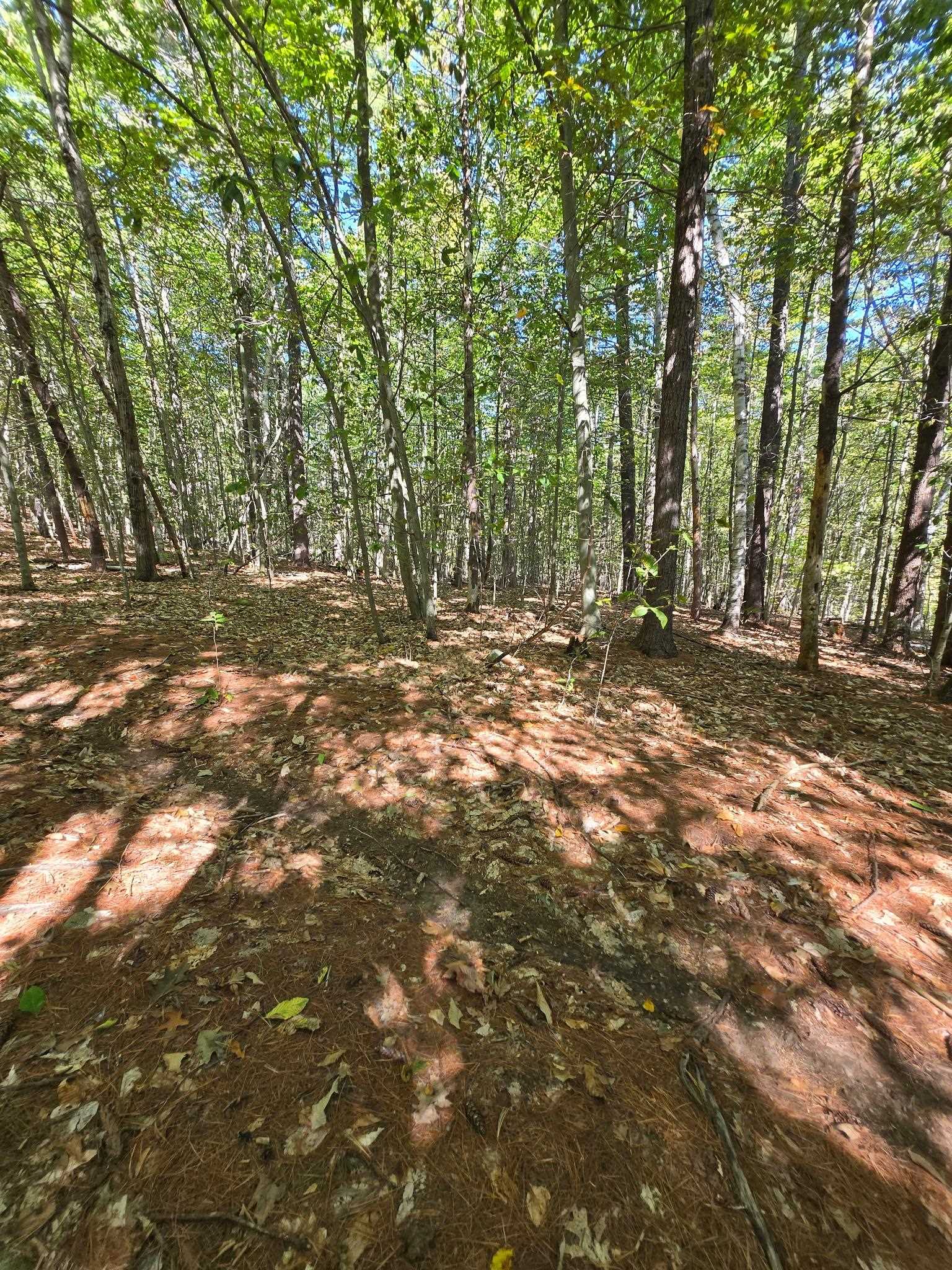 Grove Rd, New Durham, NH 03855