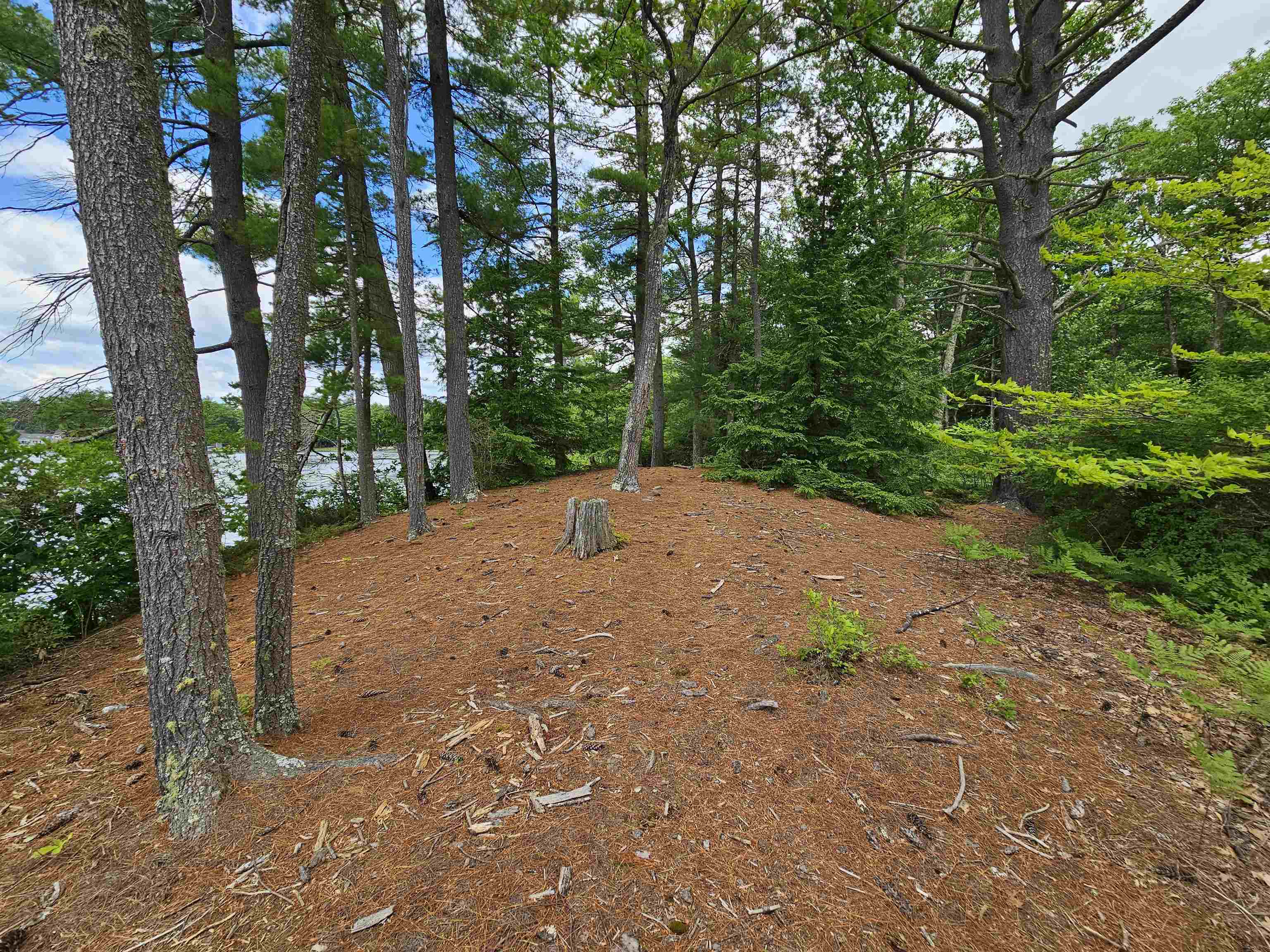 Meadow Pond Rd, Gilmanton, NH 03237