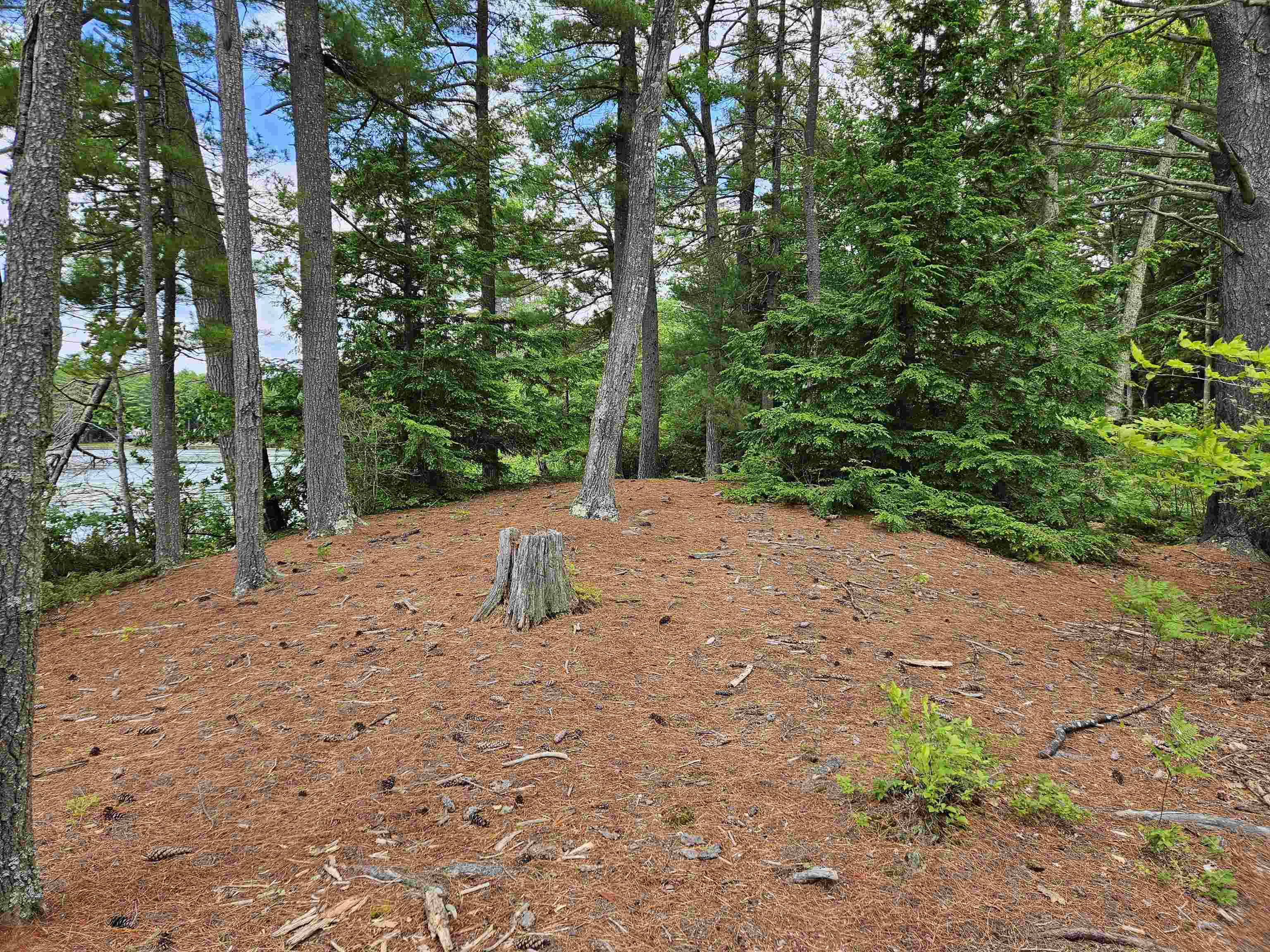 Meadow Pond Rd, Gilmanton, NH 03237