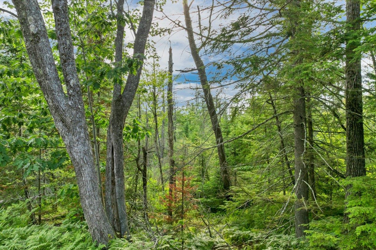 56-3-8 Federal Corner Rd, Tuftonboro, NH 03816