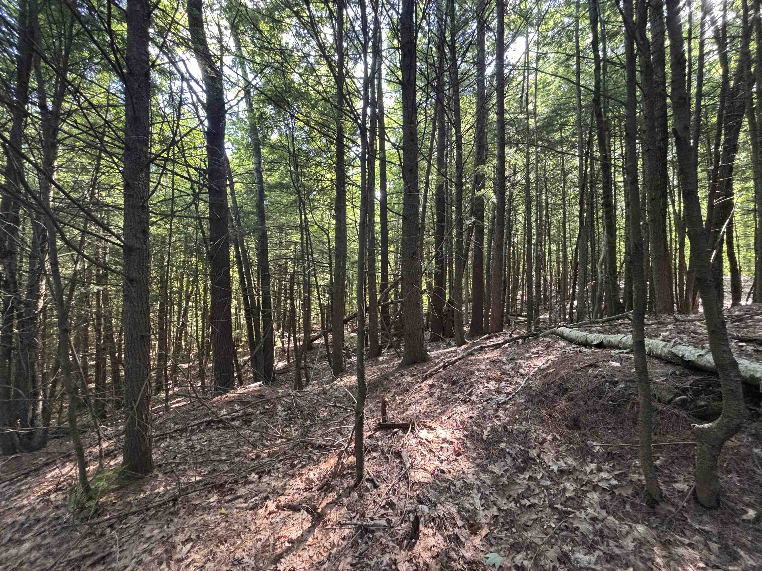00 Windfall Rd, Northfield, NH 03276